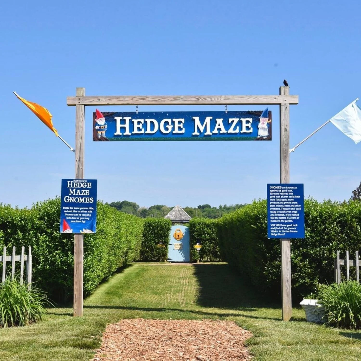   -Photo Credit:    Harbes Family Farm   