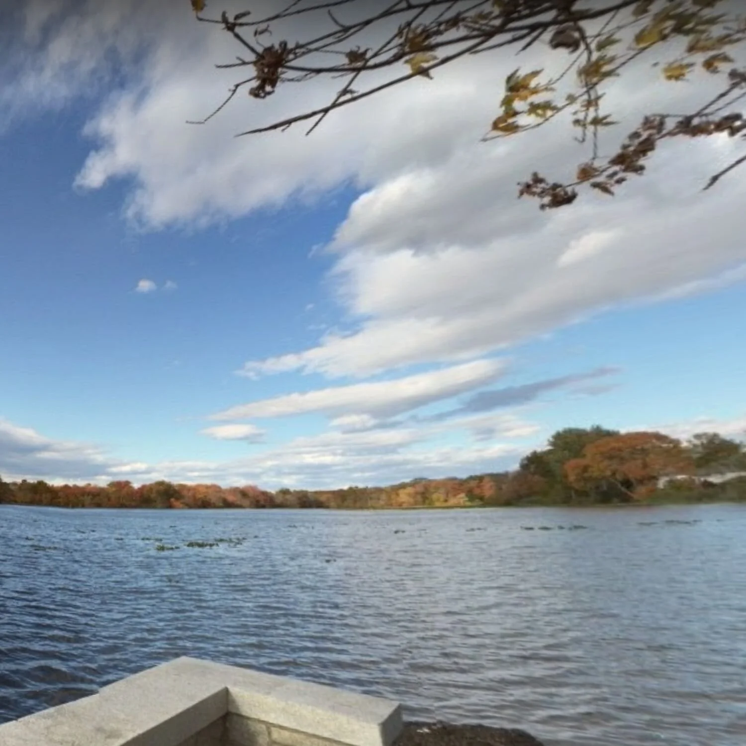   -Photo Credit:    Google Maps, Massapequa Reservoir   