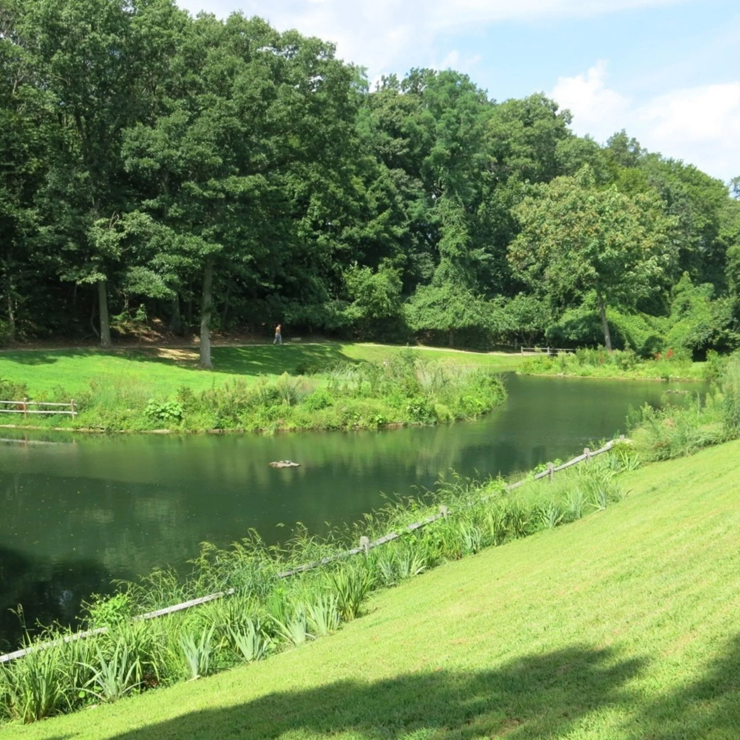   -Photo Credit:    Sands Point Preserve Conservancy   