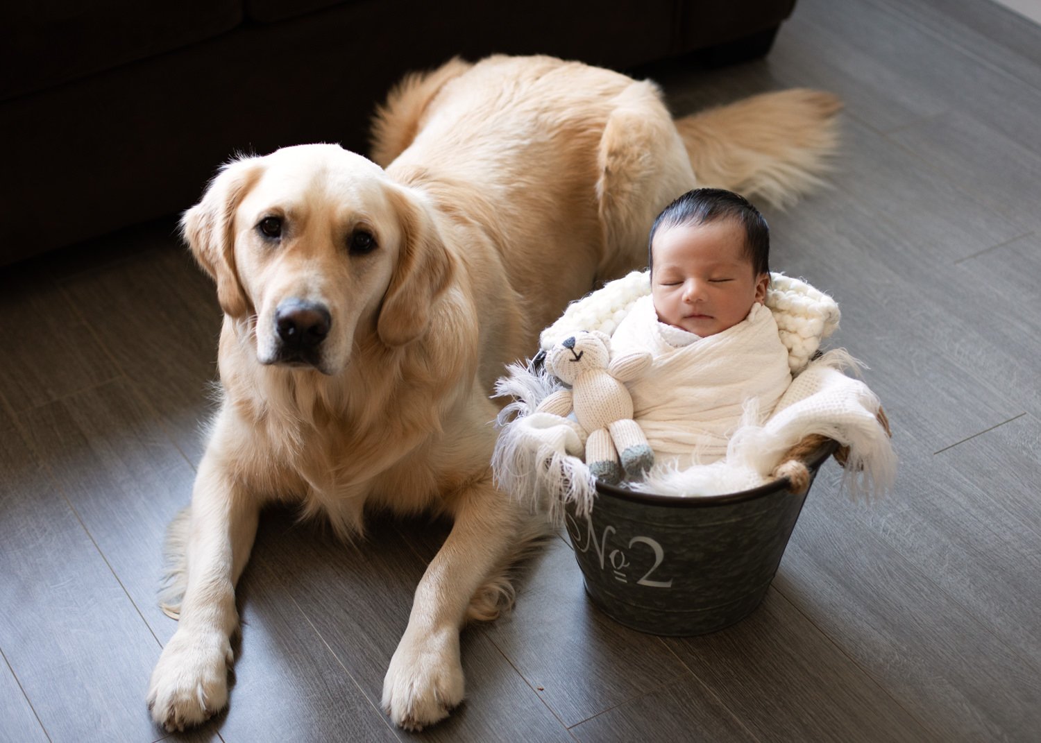 Newborn and Dog Photo Ideas