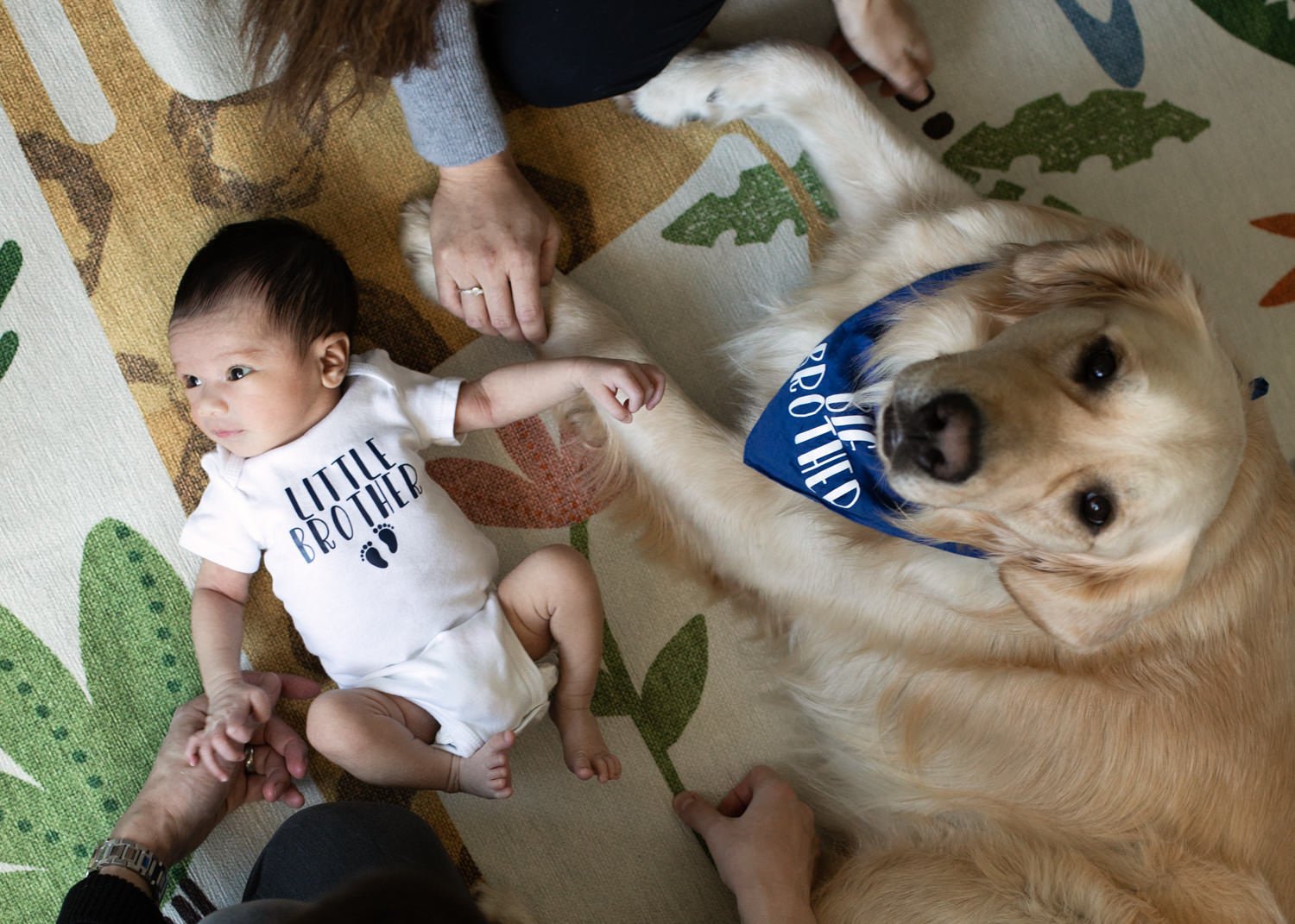 Baby and Dog Photo Ideas