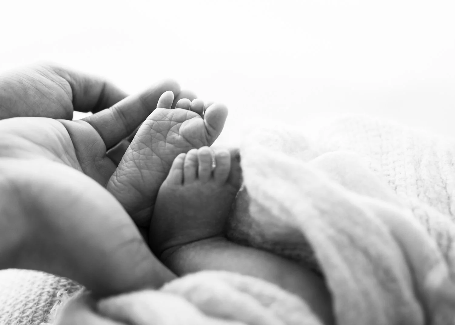 Photo of newborn feet details