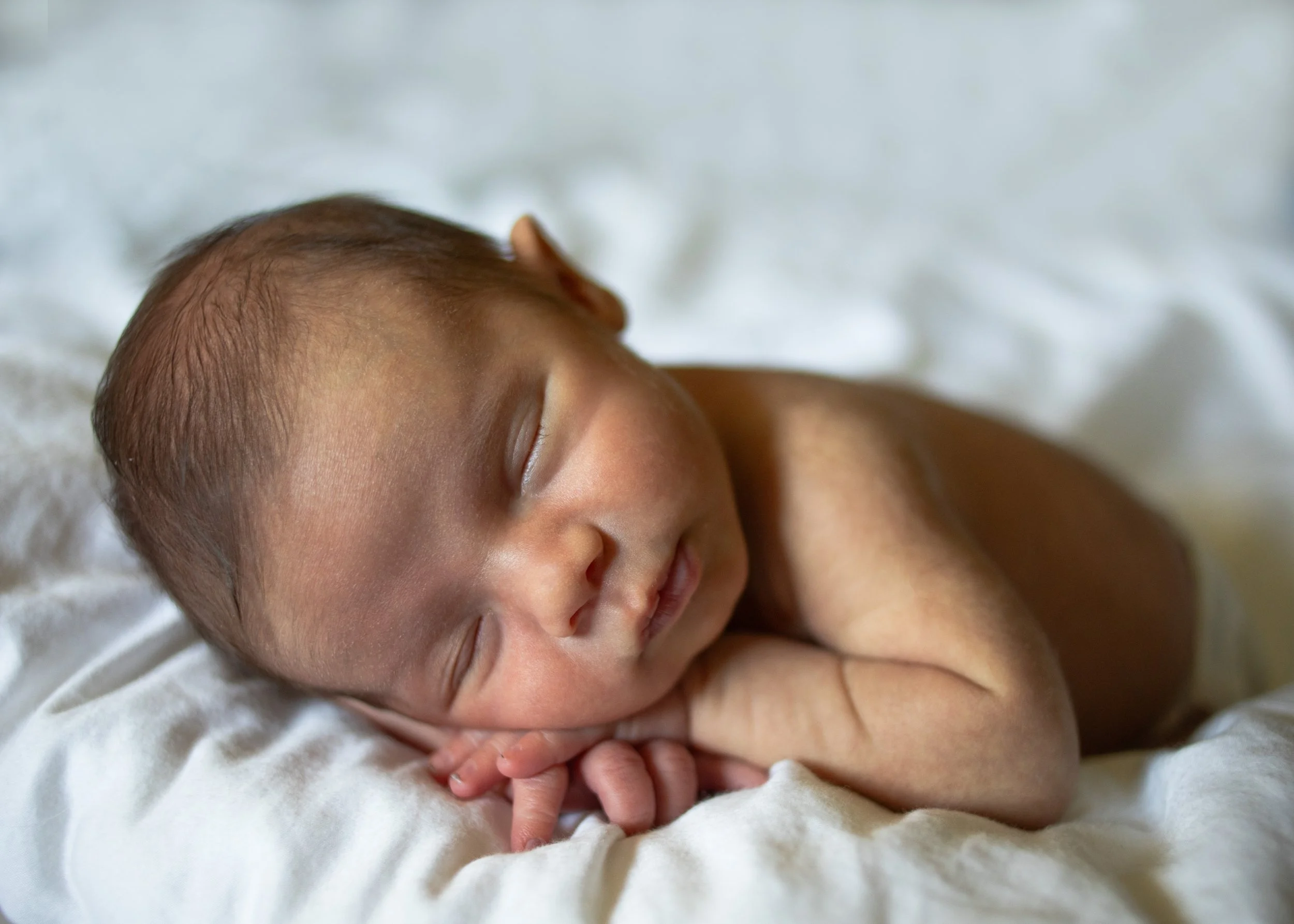 Sleeping Newborn Photo