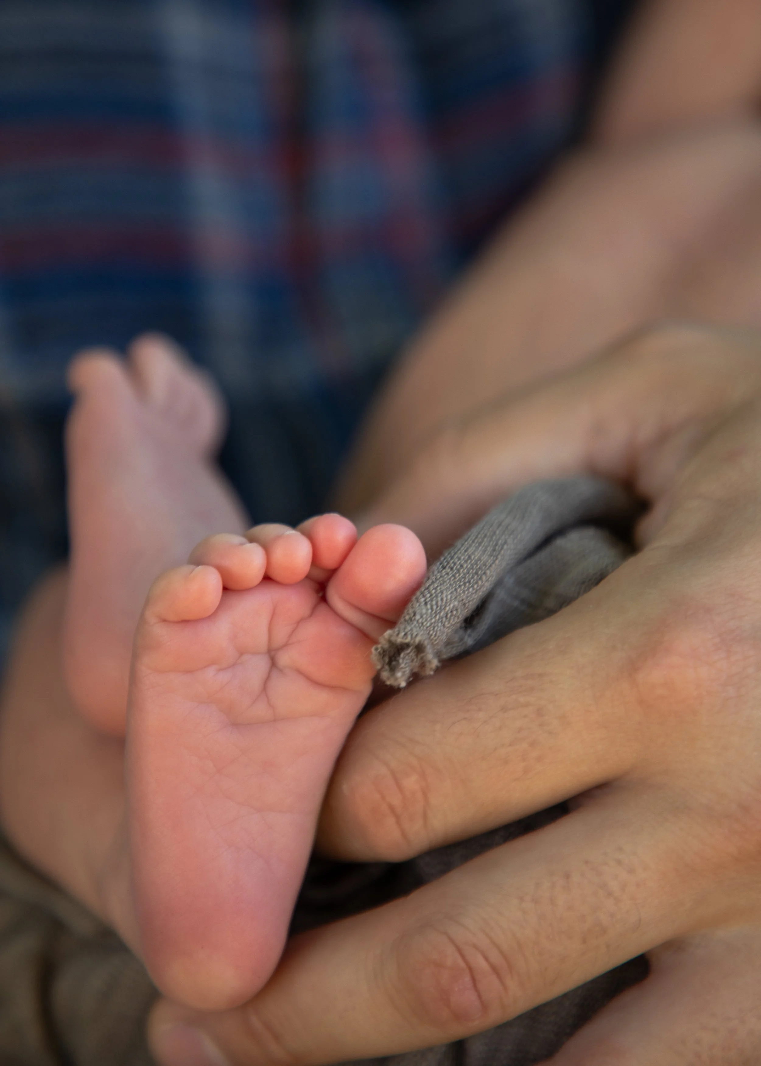 Tiny Baby Feet
