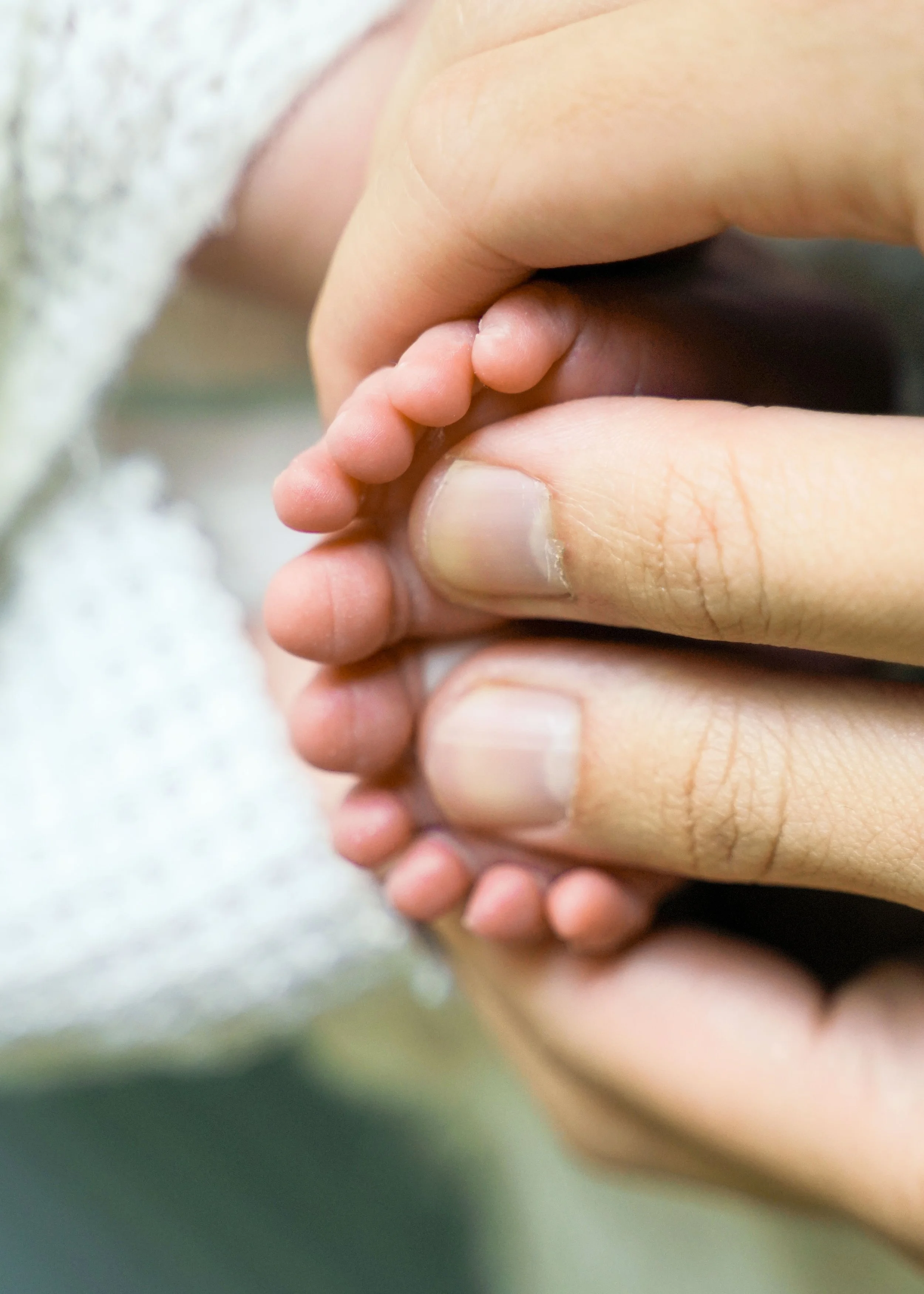 Tiny Newborn Toes