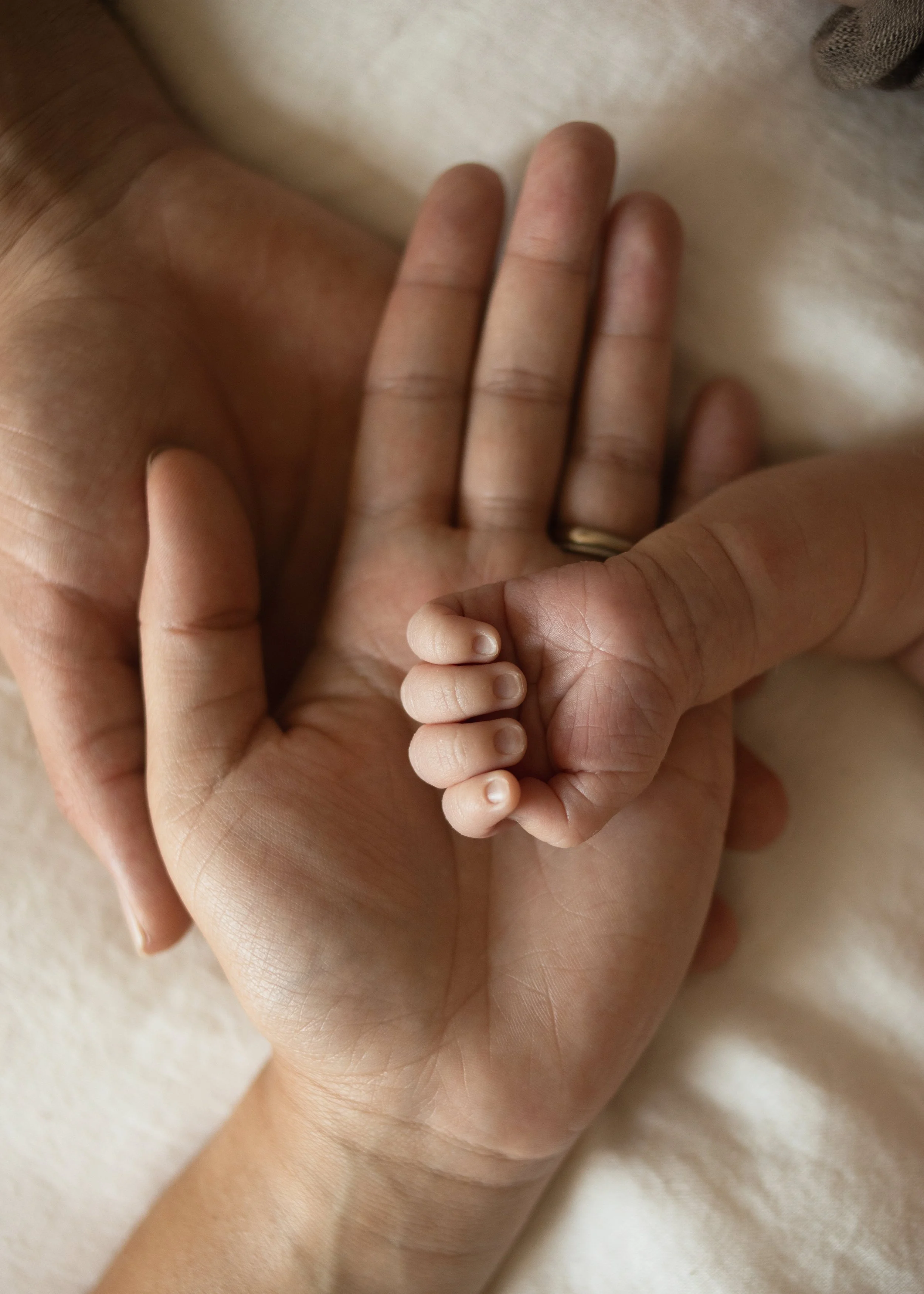 Tiny Newborn Hand Compared to Parents