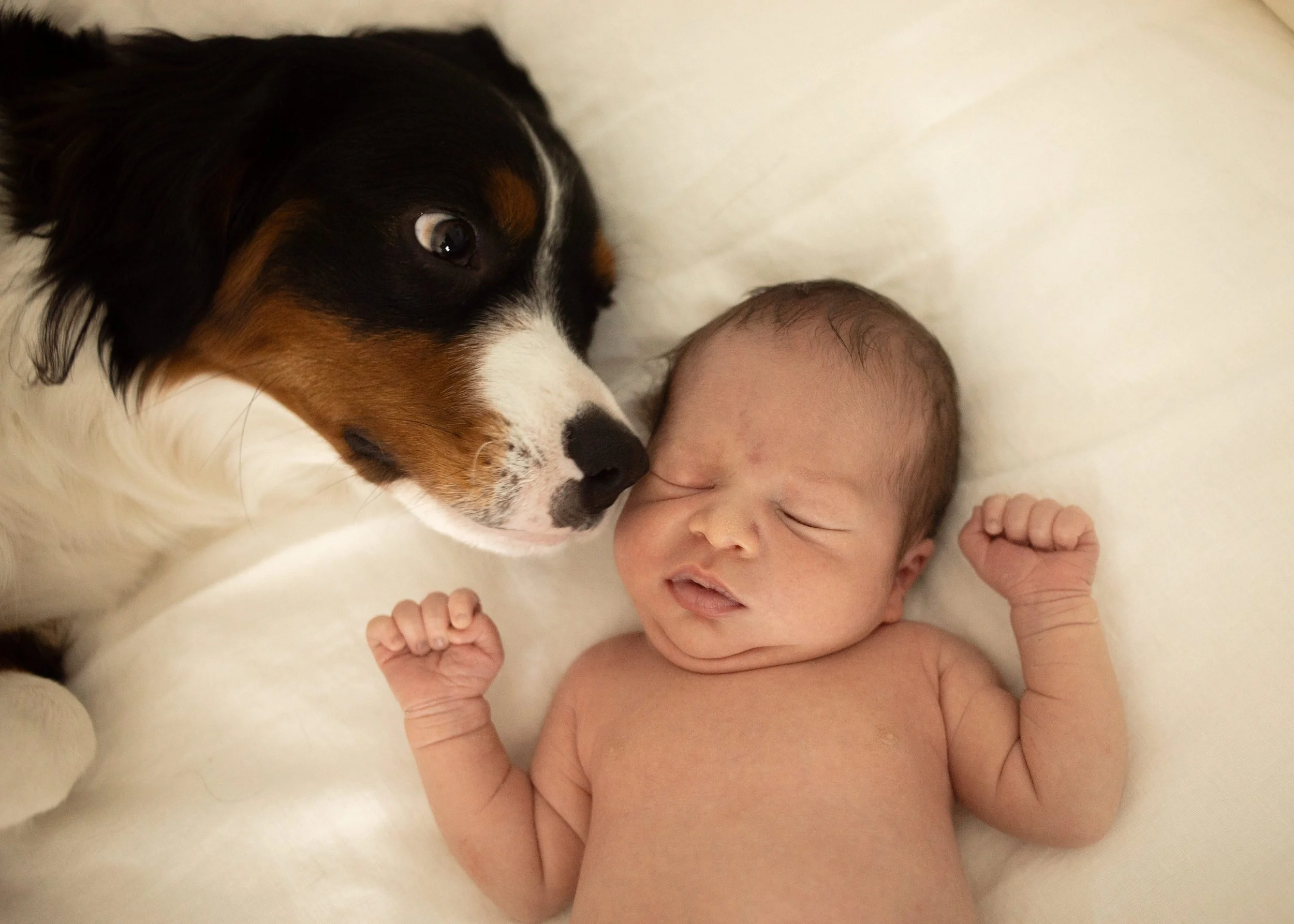 Newborn and Dog