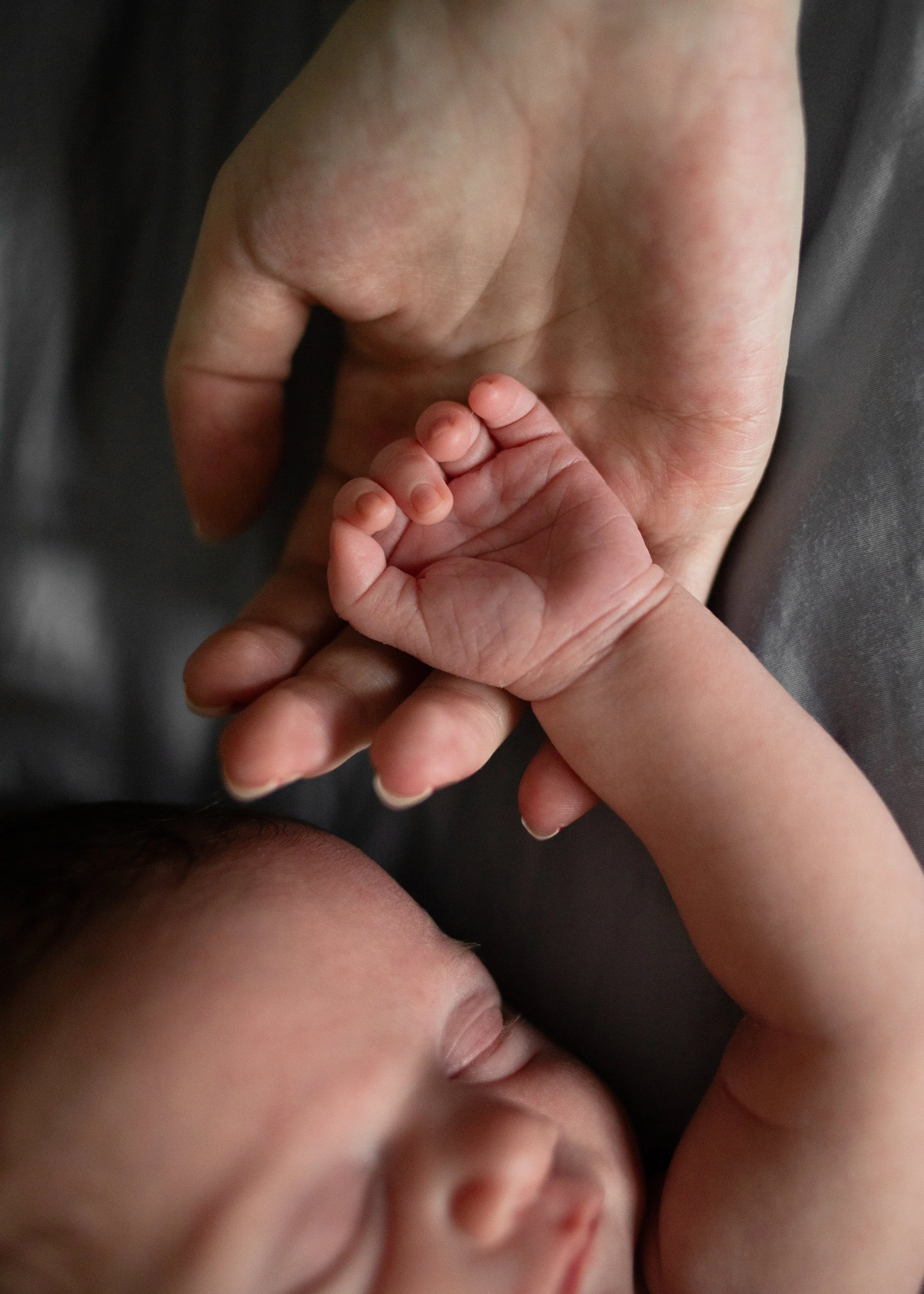 Newborn Session At Home In Coquitlam