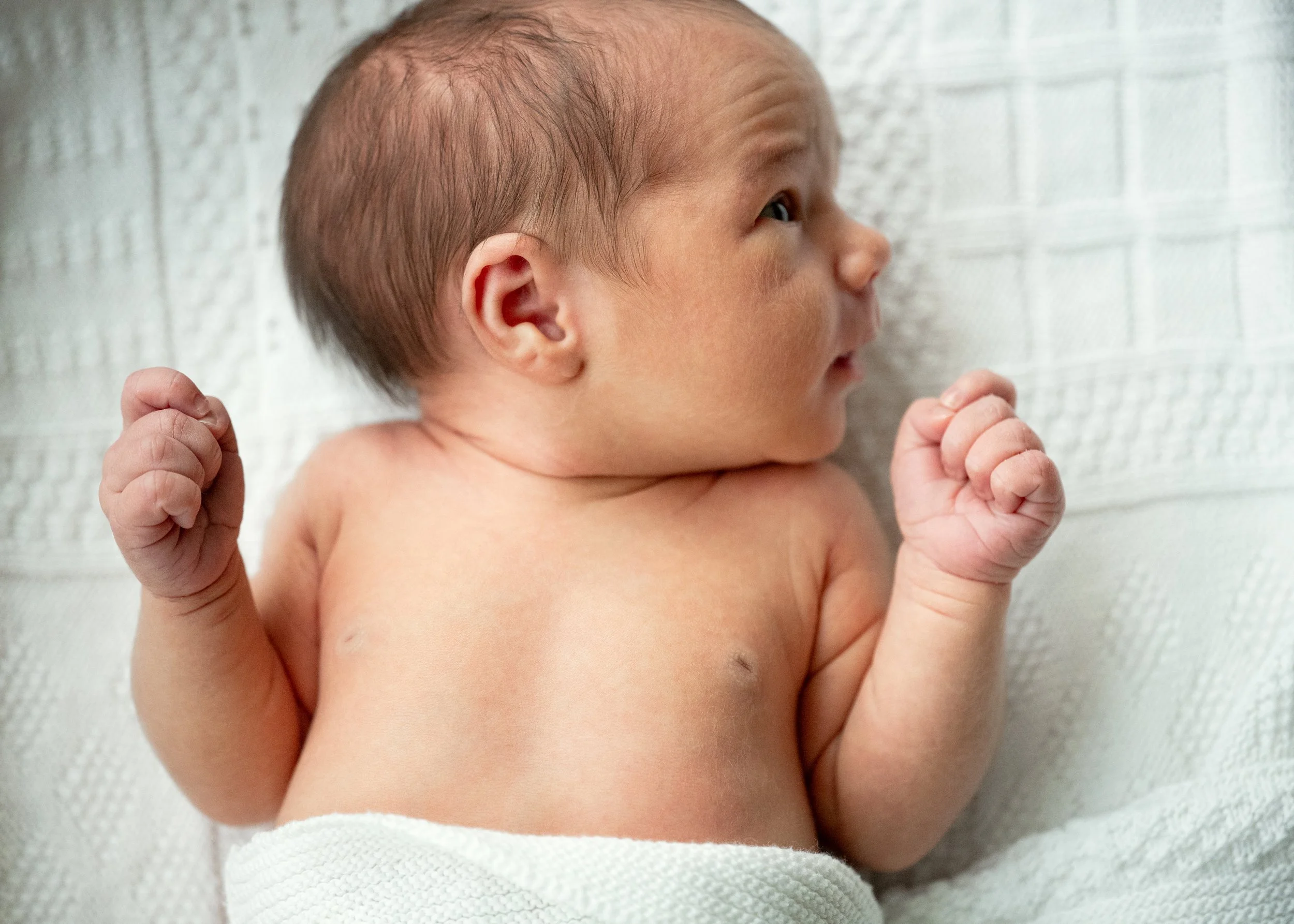 Vancouver Newborn Photography 