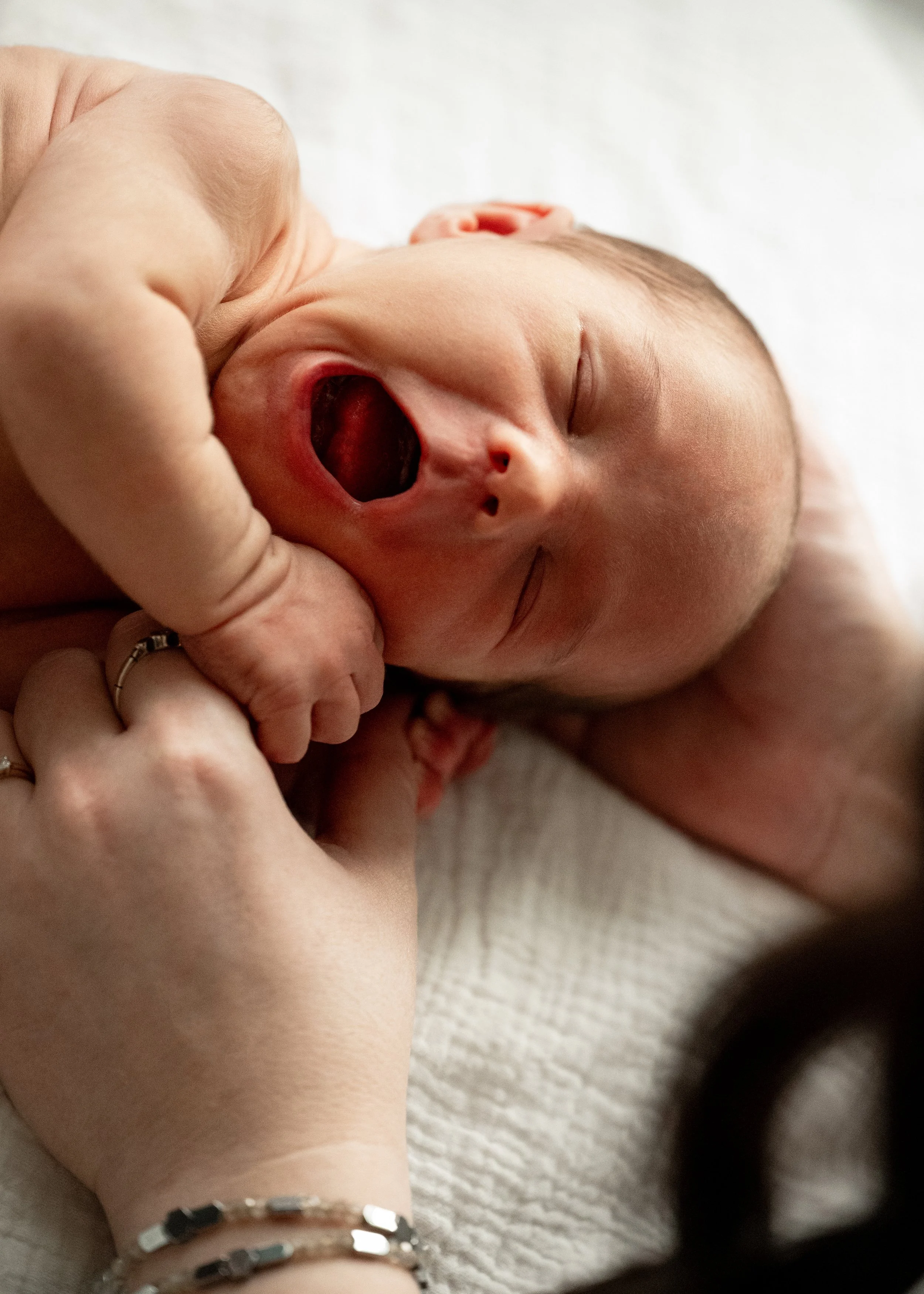 Vancouver Newborn Photography Natural