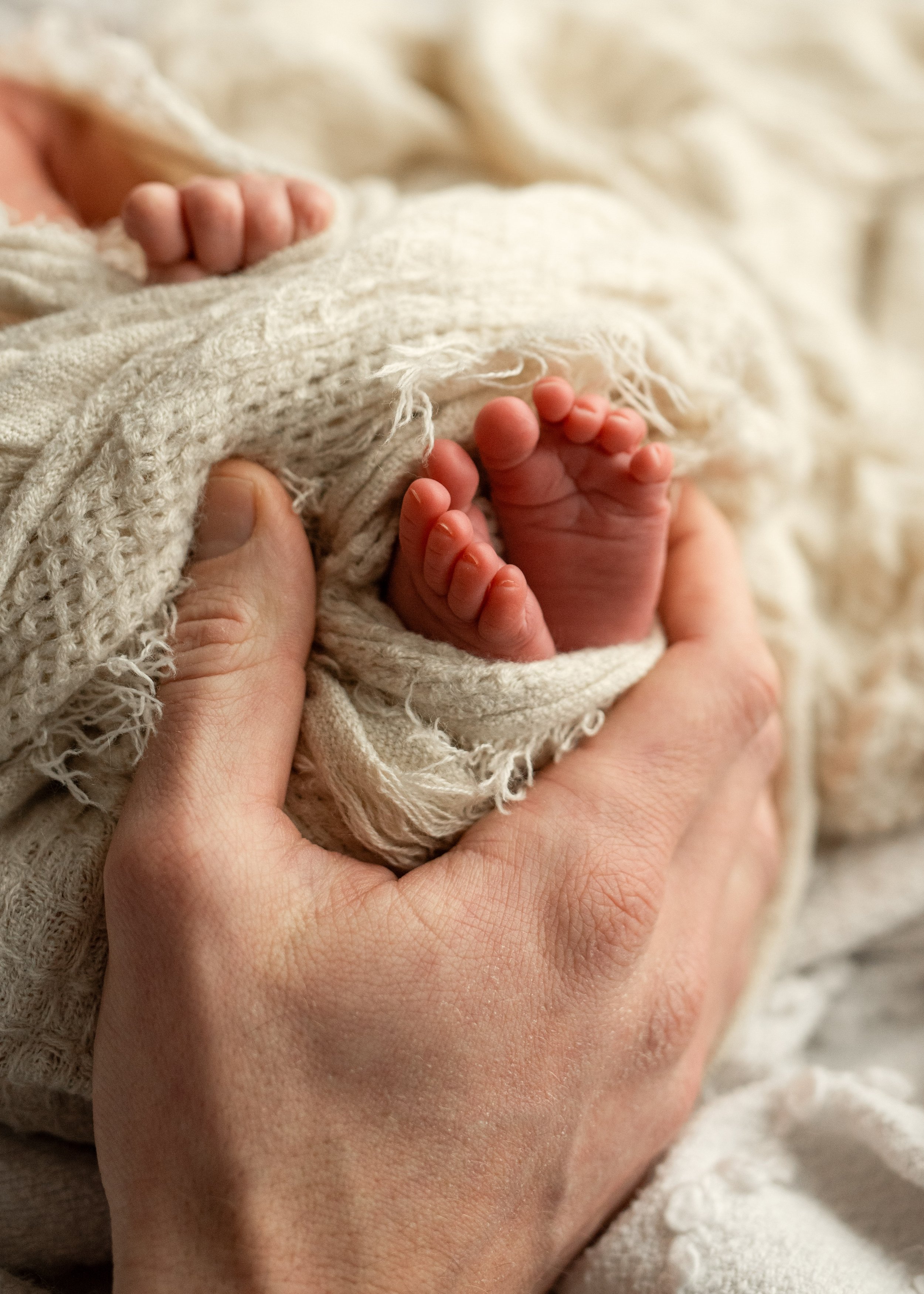 Richmond Newborn Photography