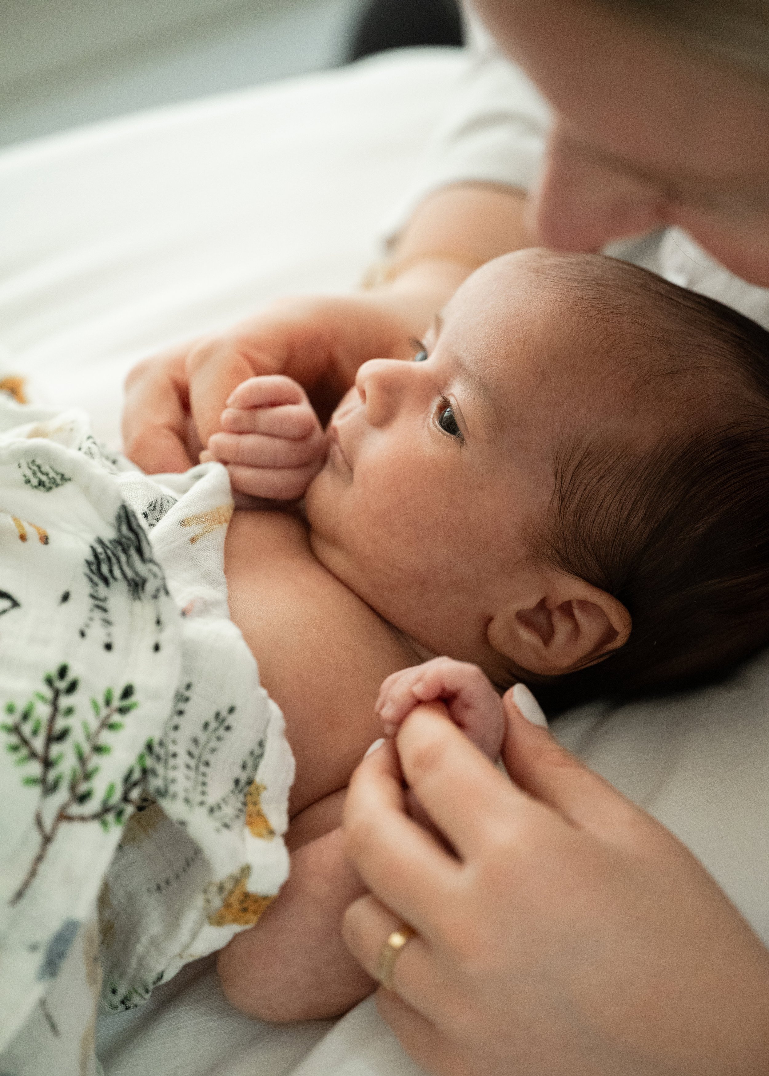 Newborn Photography In Vancouver