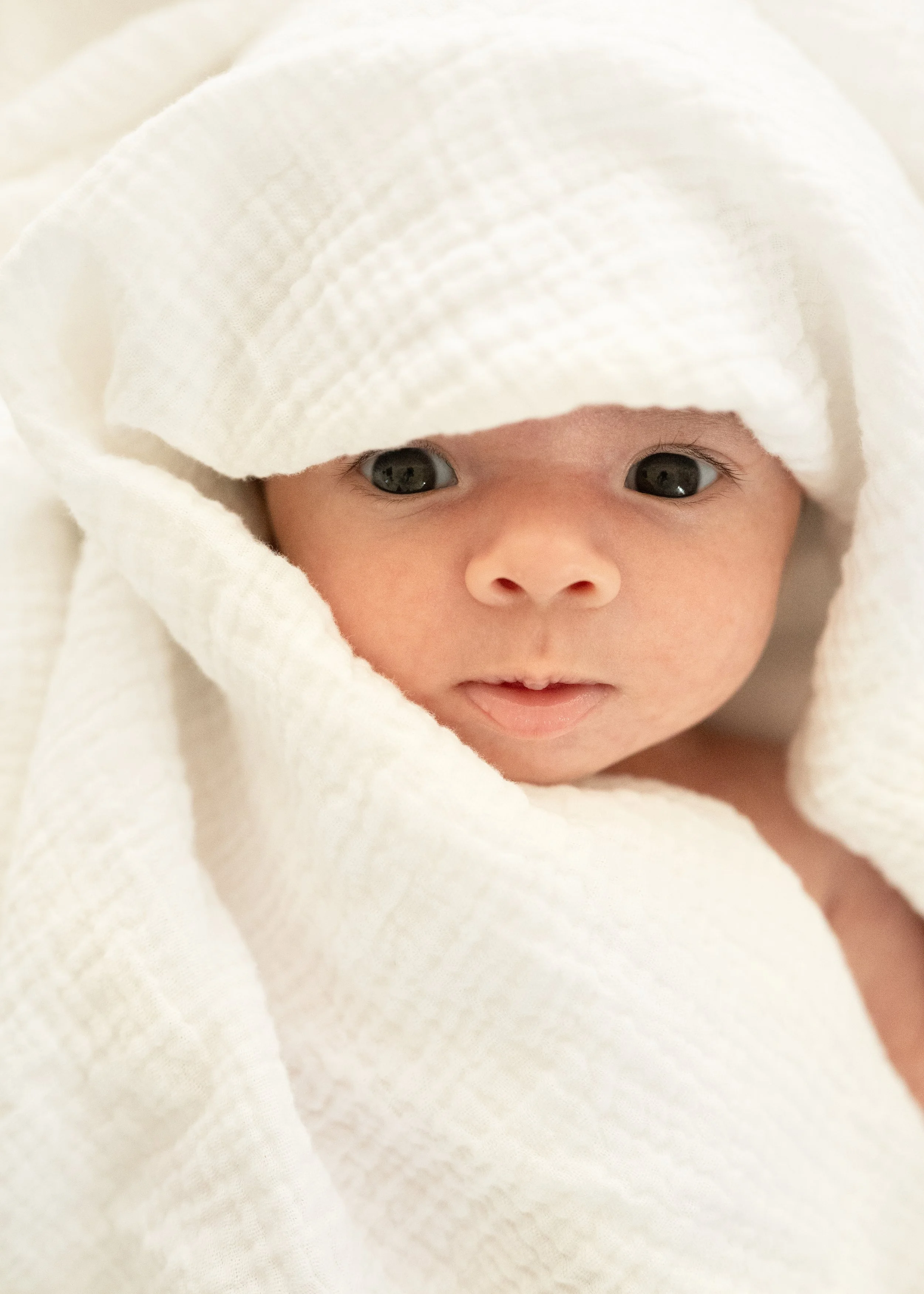 Newborn Photographer Vancouver Natural