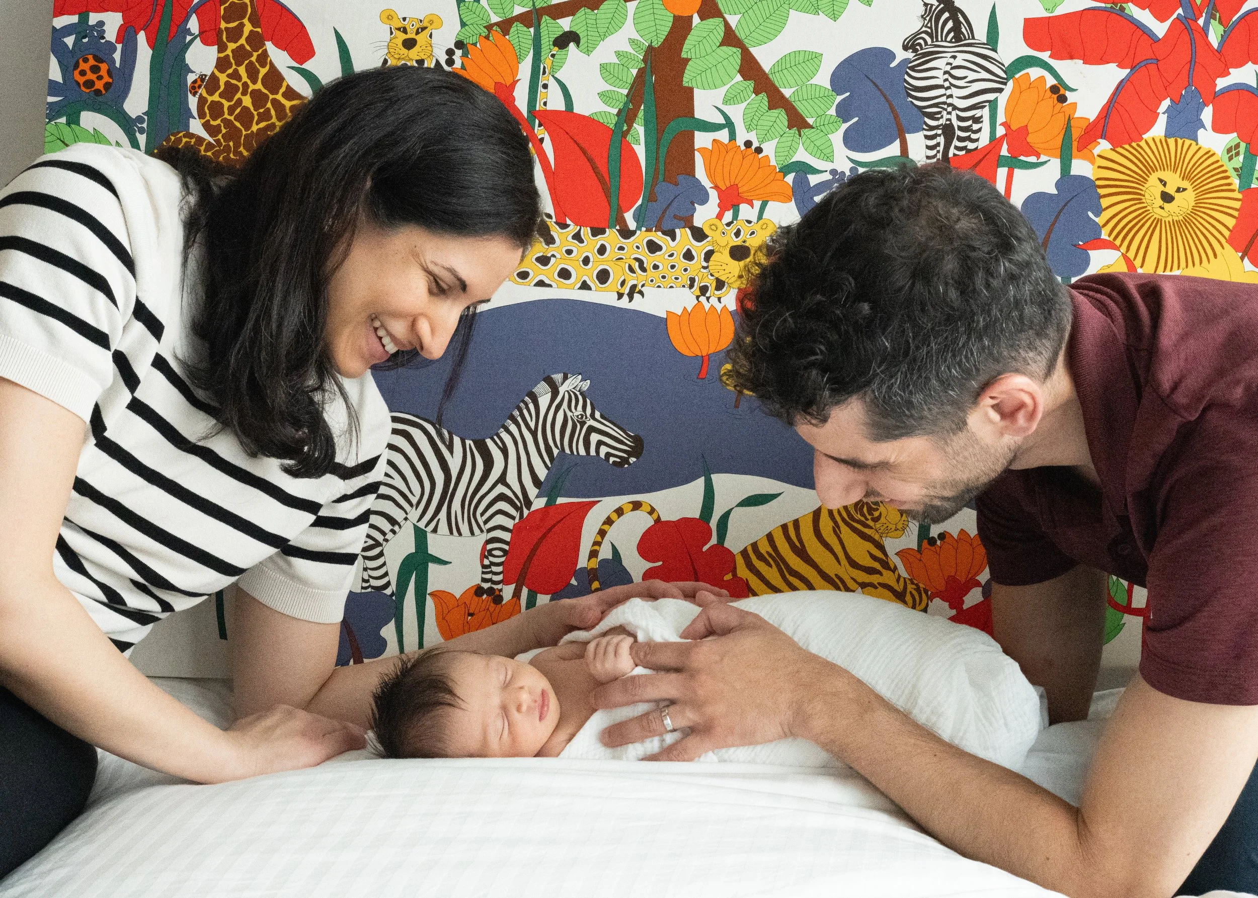 Newborn Nursery Vibrant Decor