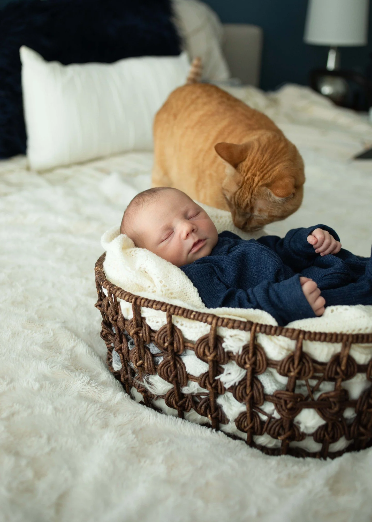 The sweetest little moments, captured just as they are - soft, quiet, and full of love 🤍🐾

These are the memories that become everything.

-
#NewbornPhotography #LifestylePhotography #InHomeSession #PhotographerLife #CapturingMoments #Storytelling 