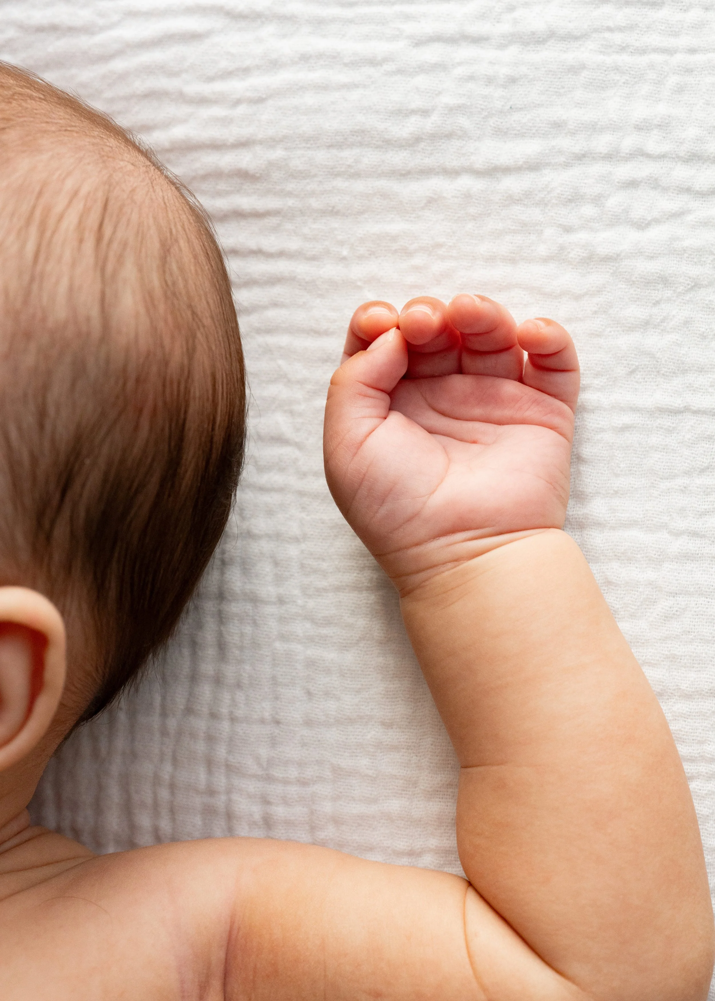 Newborn Photography Vancouver Natural