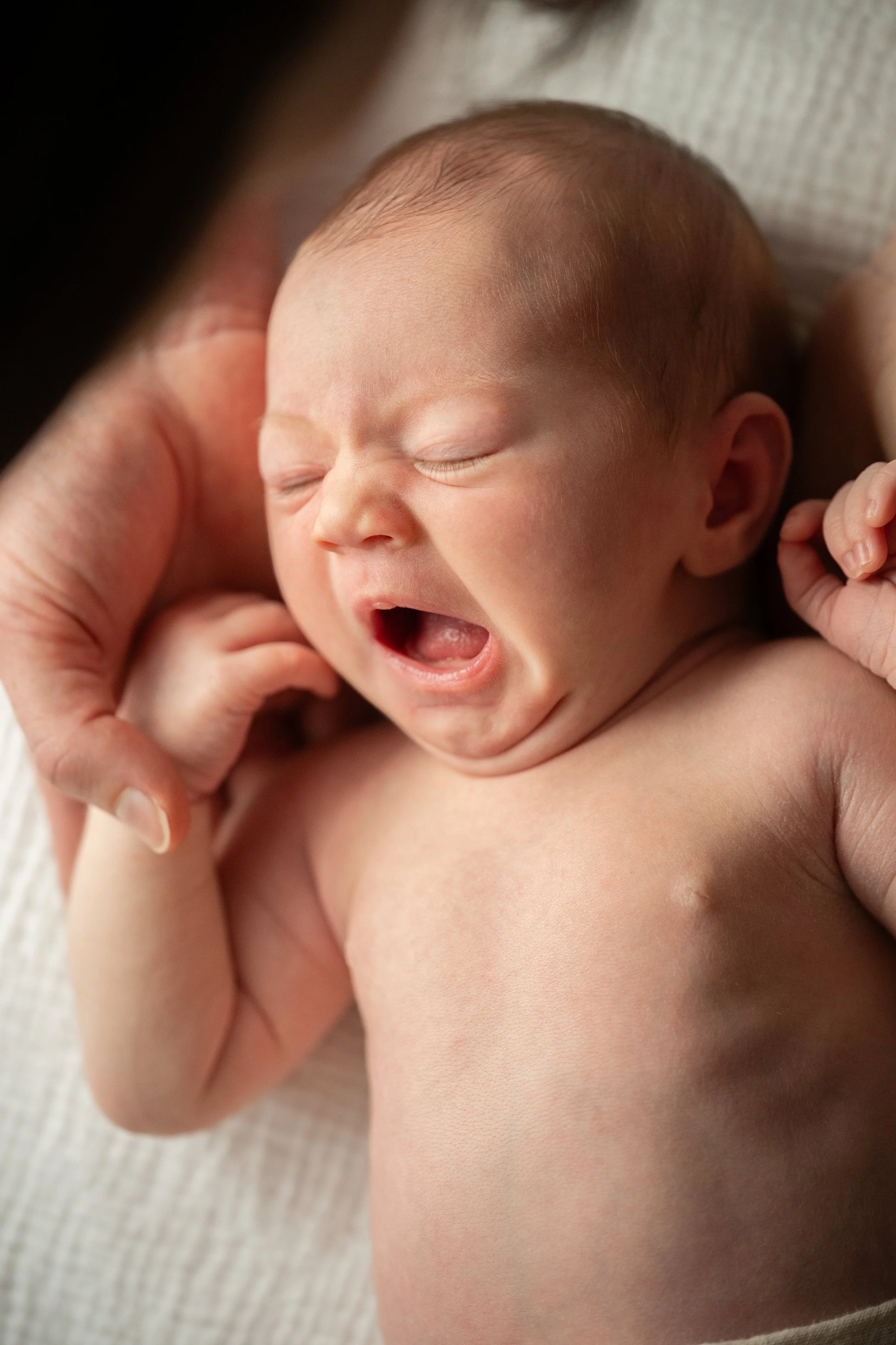 Vancouver Newborn Session 