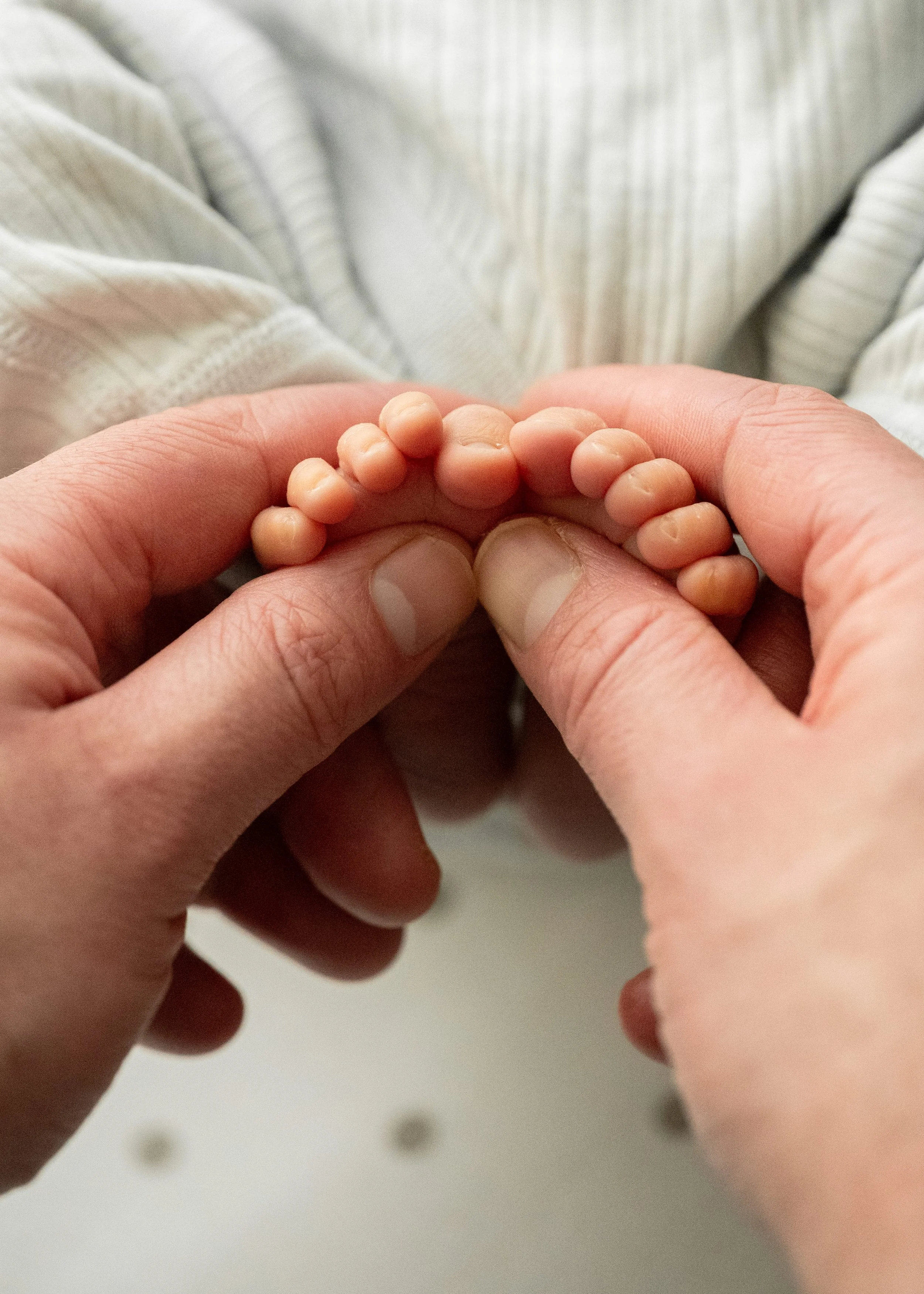 Newborn Photography in Great Vancouver