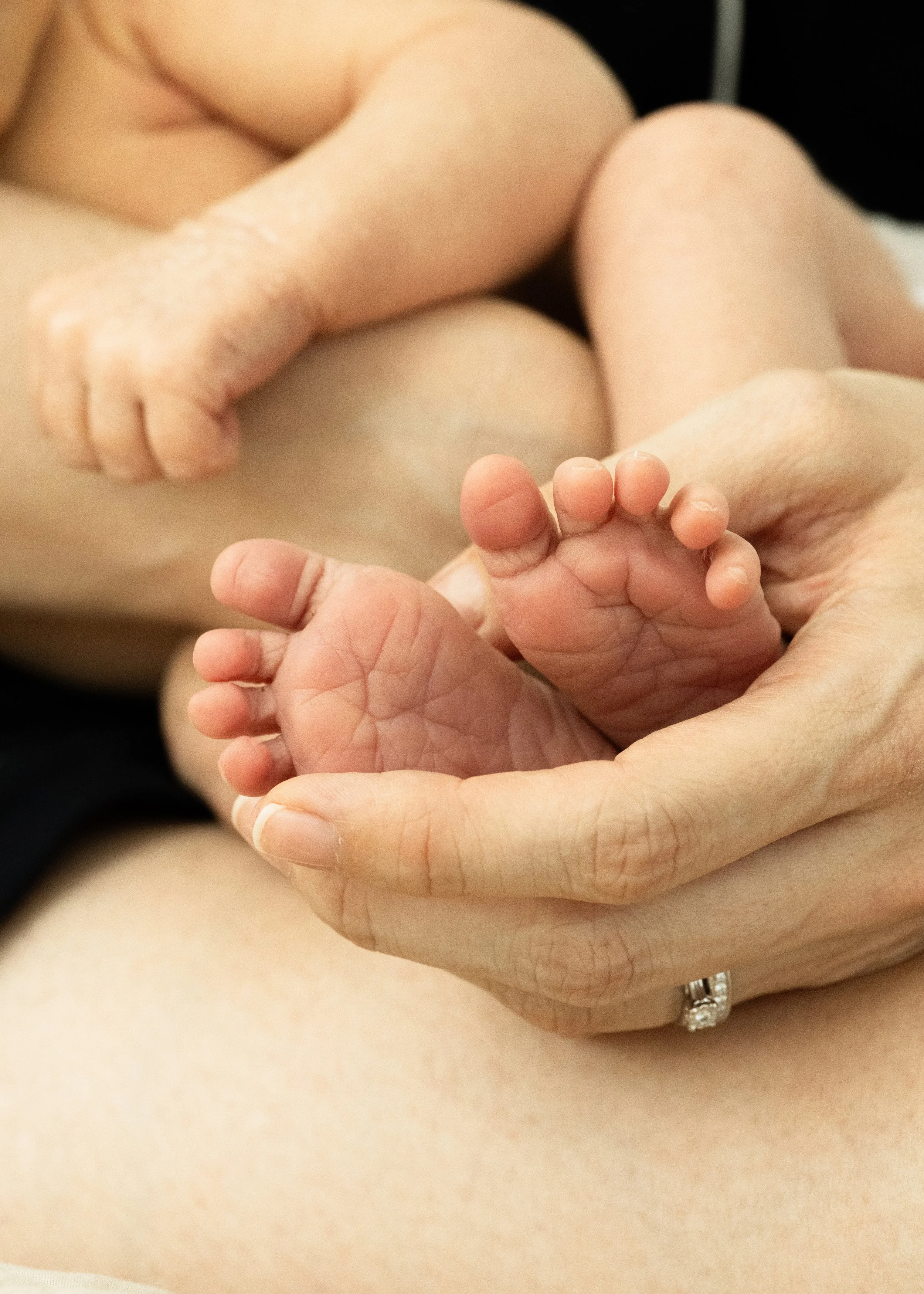 Newborn Detail Photography