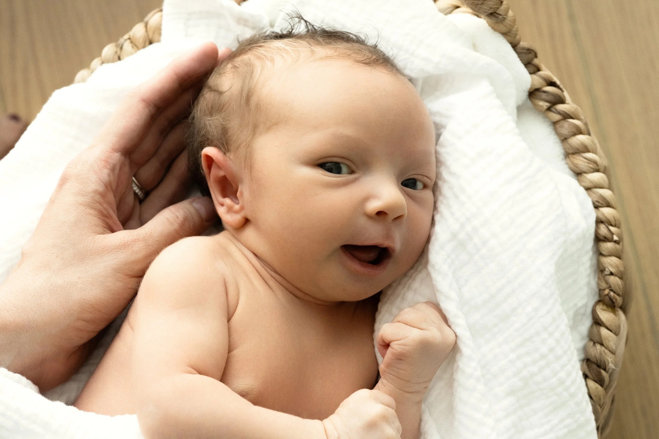 Gently Posed Newborn