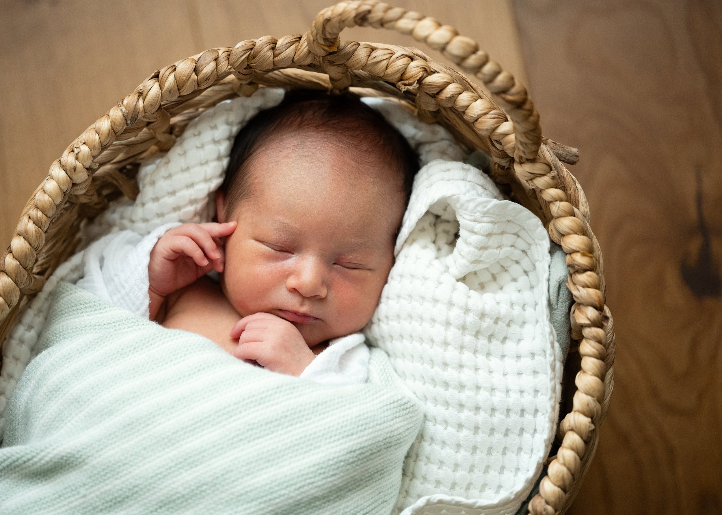 Newborn Posed in Basket