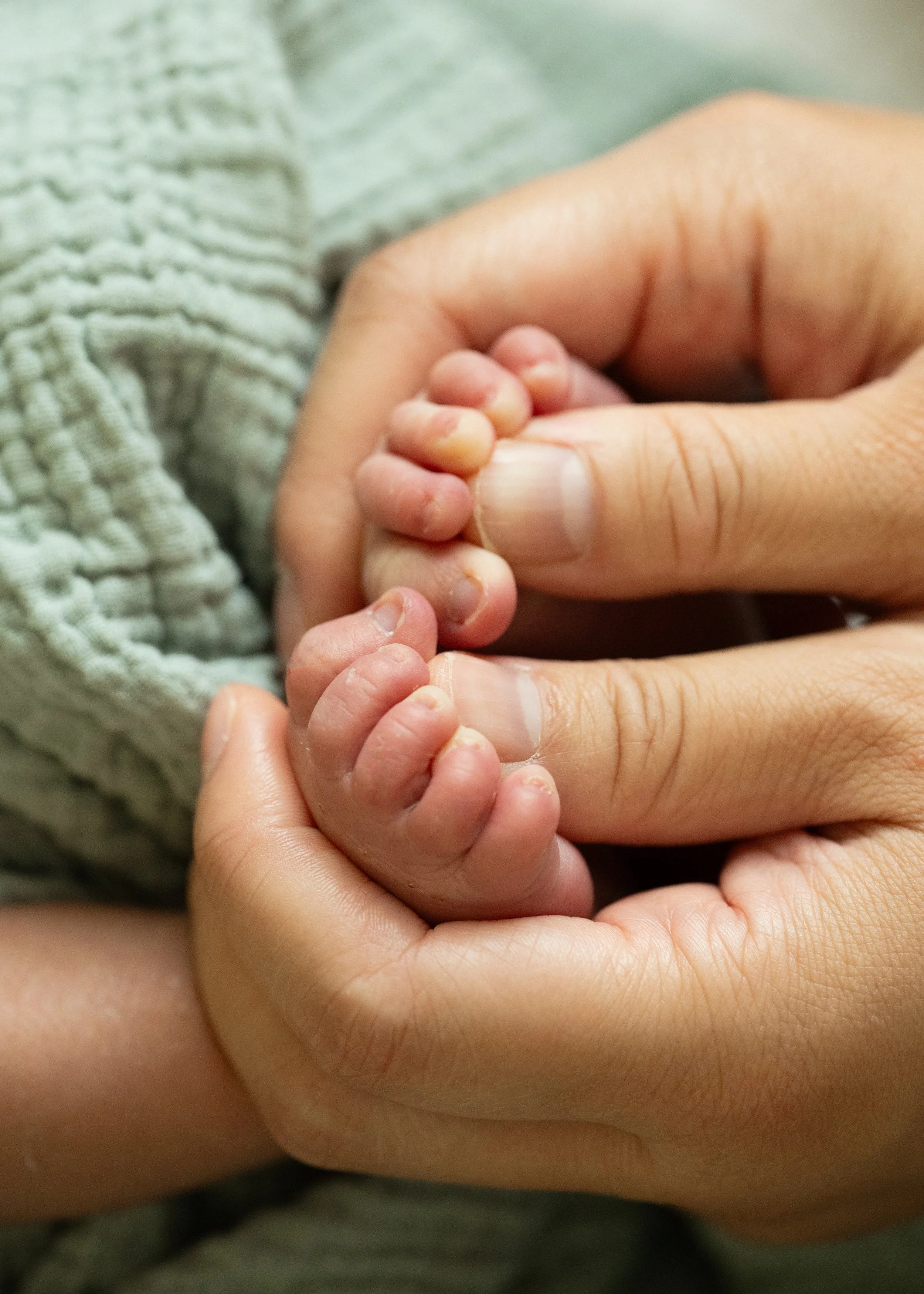 Newborn Detail Photography