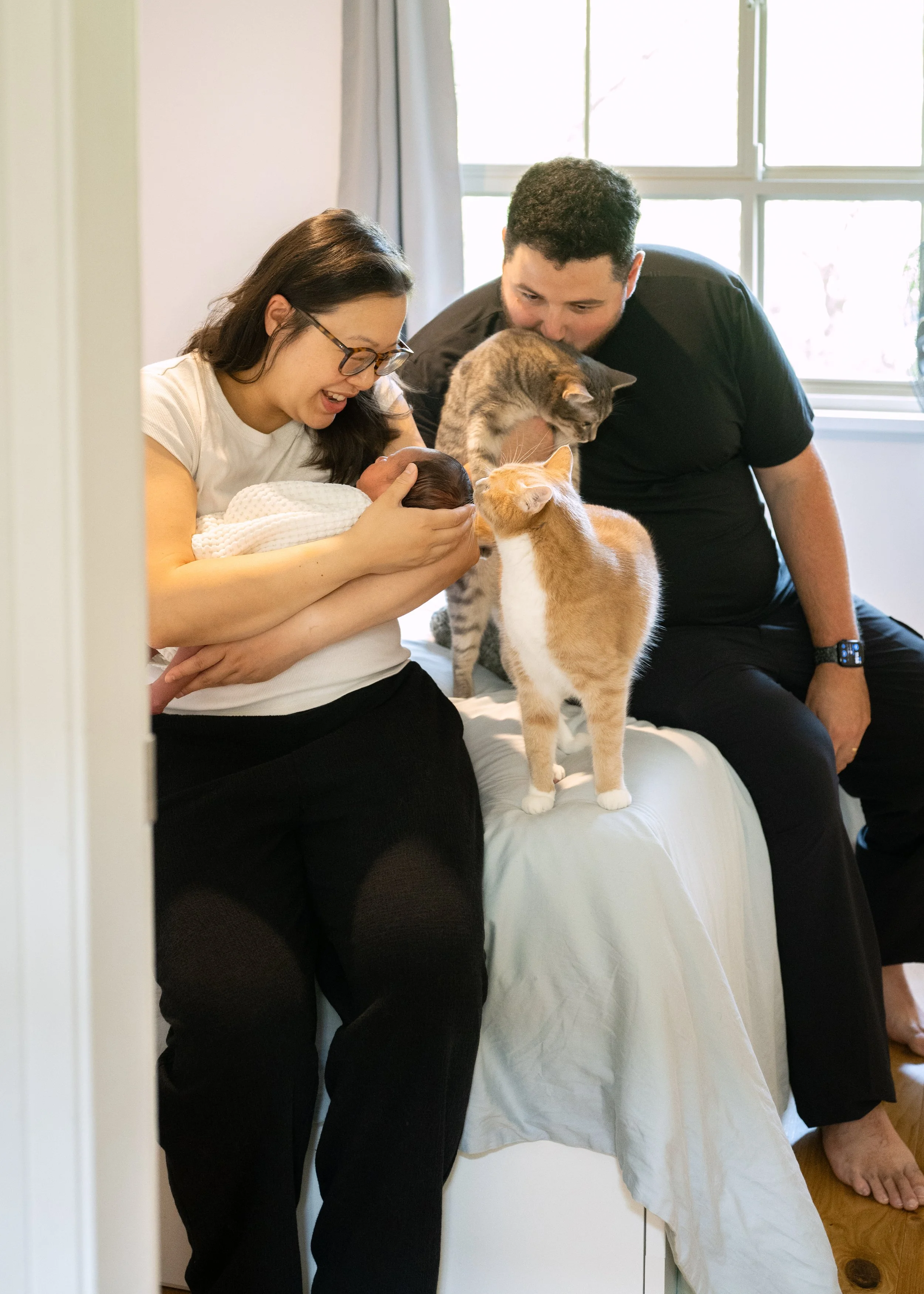 Newborn and Pet Photogrpahy