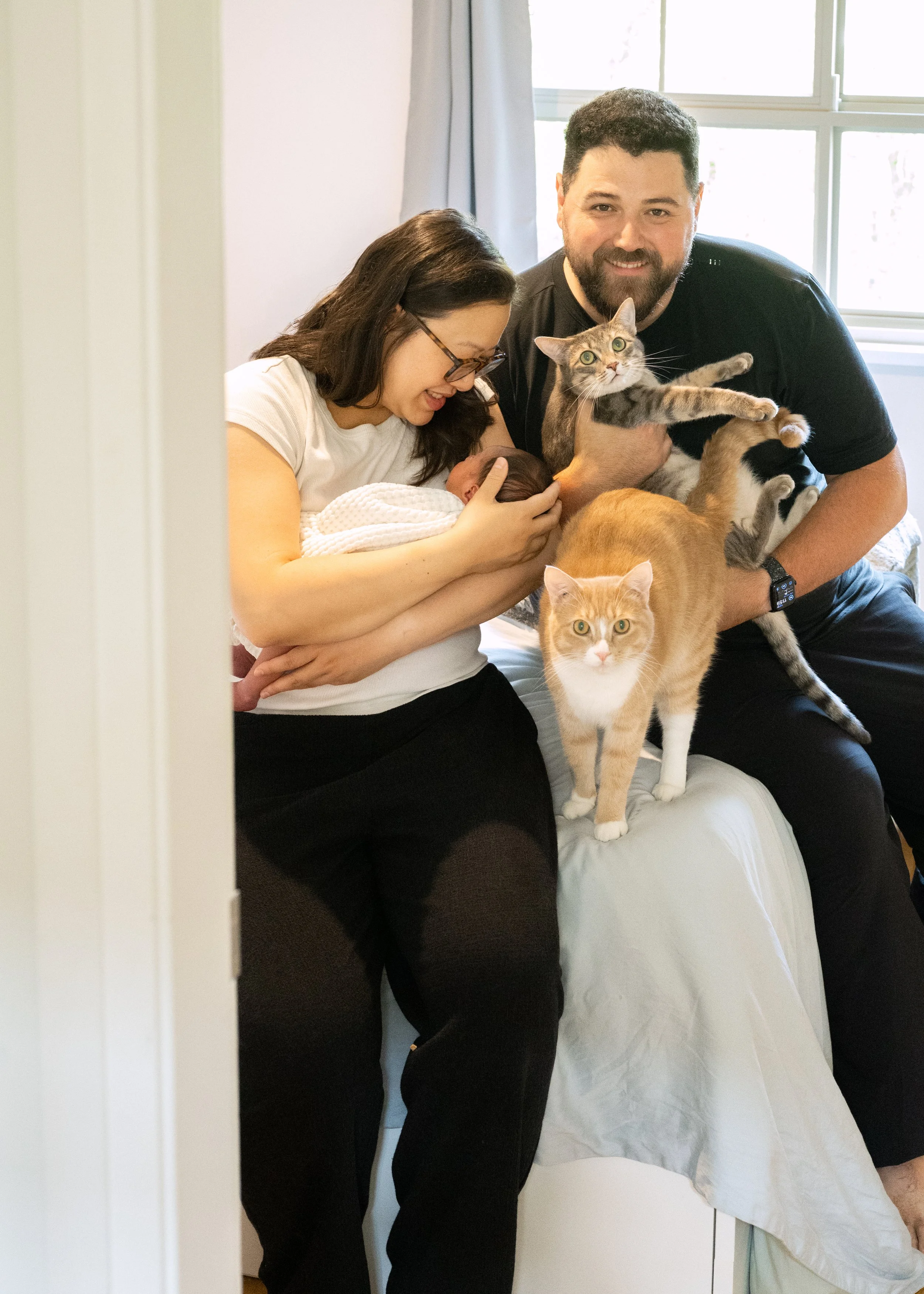 Newborn Session With Cats
