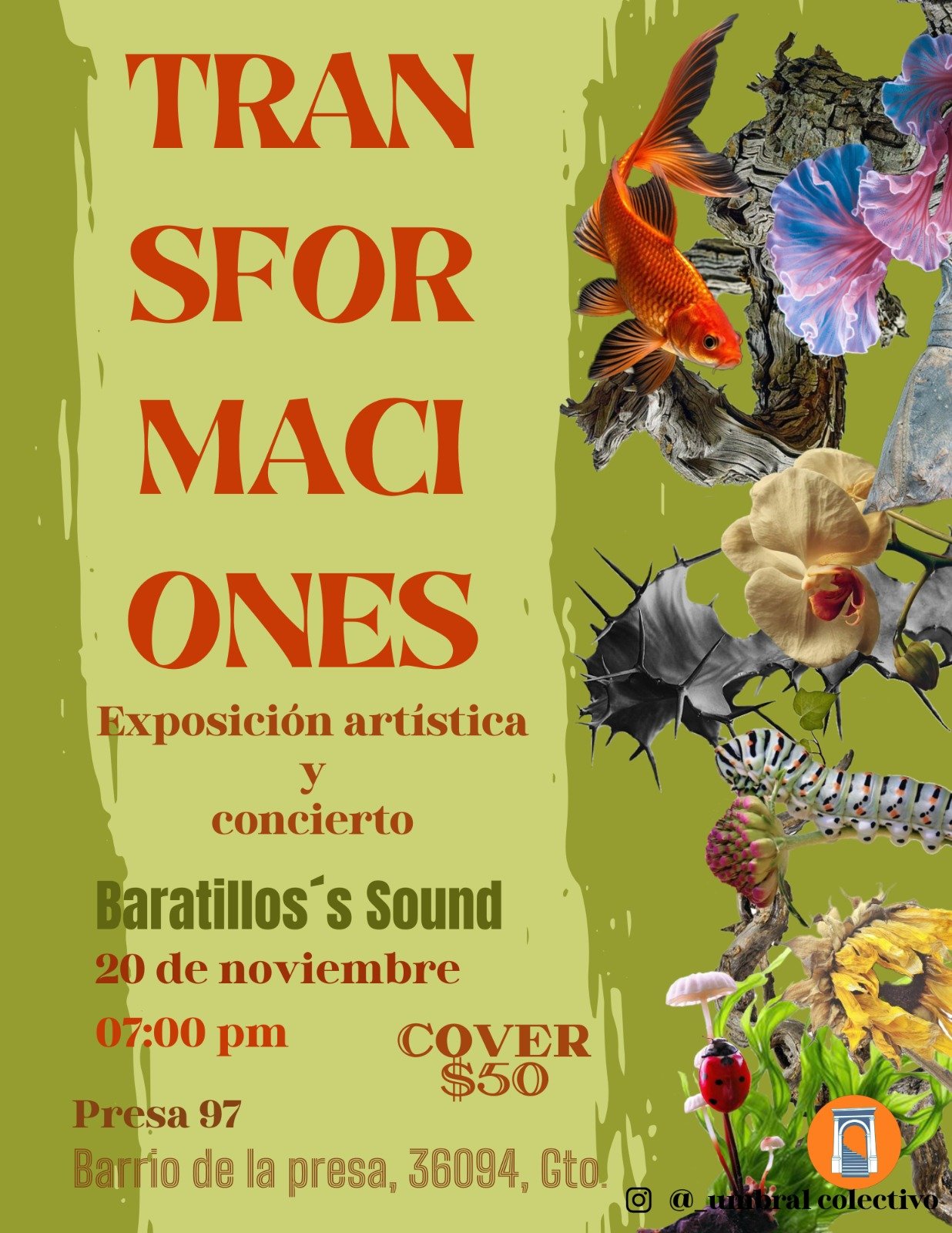 Transformaciones: exposición artística y concierto.