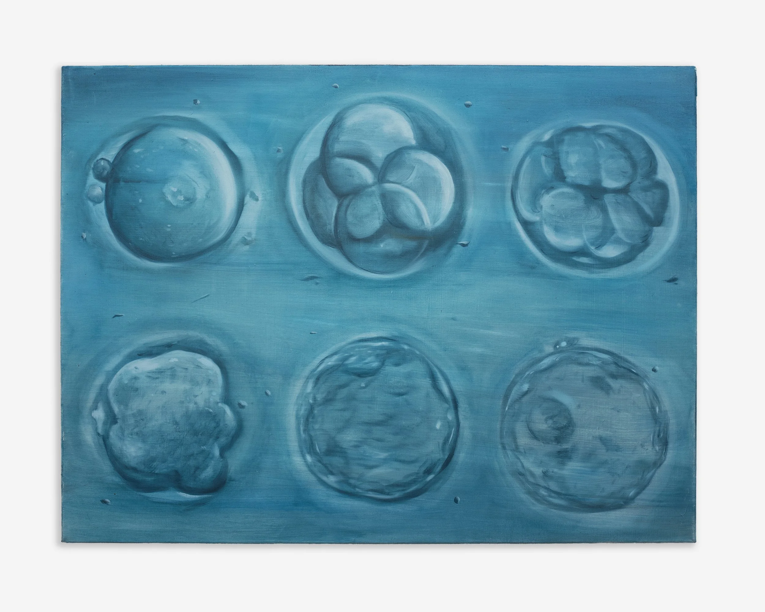   First Week , 2022 Oil on linen 46 x 61 cm (18 x 24 in)  A depiction of the biological development of an embryo,  First   Week  (2022) examines its life through different stages of fertilization. Interested in the growth process, The artist replicat