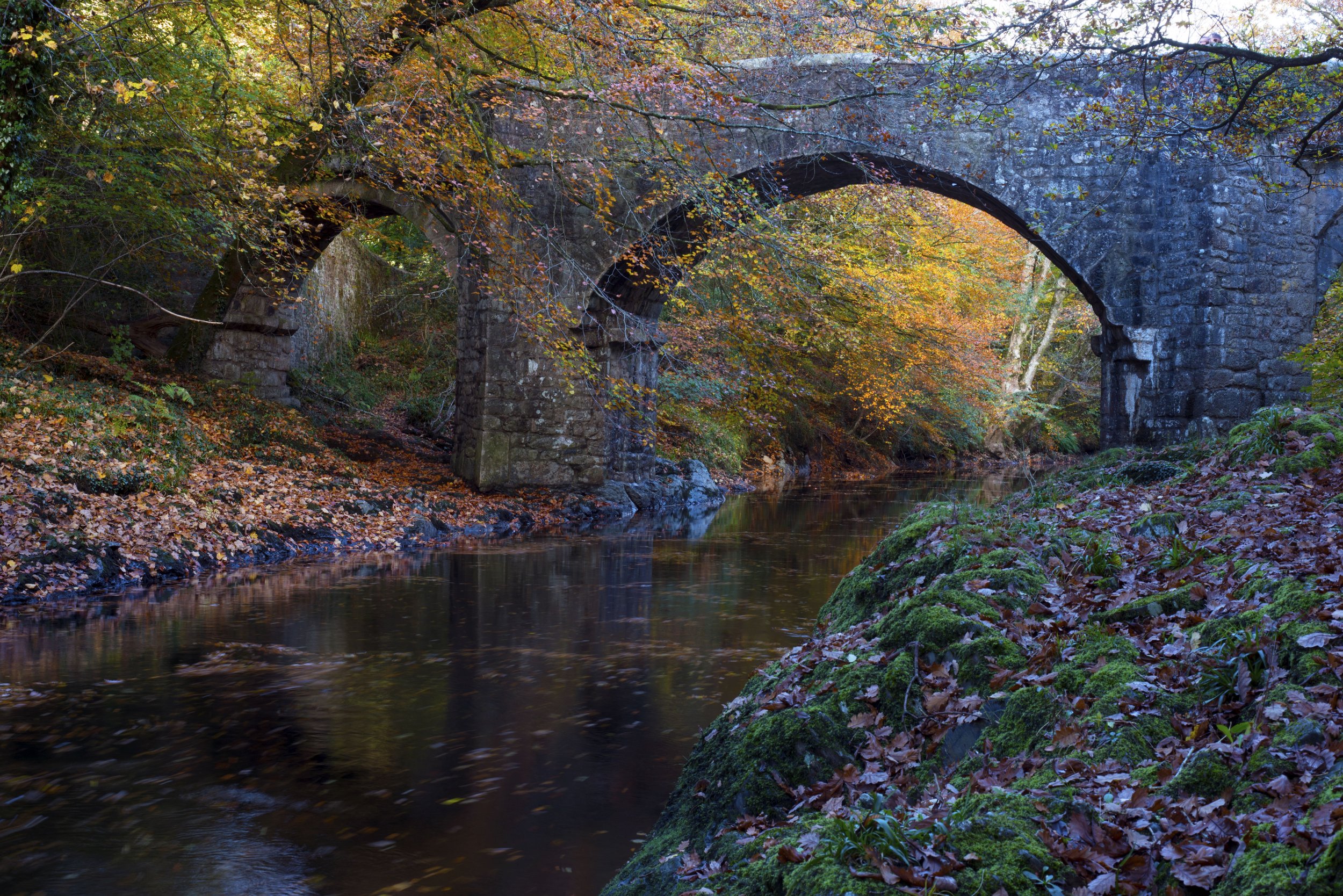 Holne Bridge in Autumn, Devon.jpg