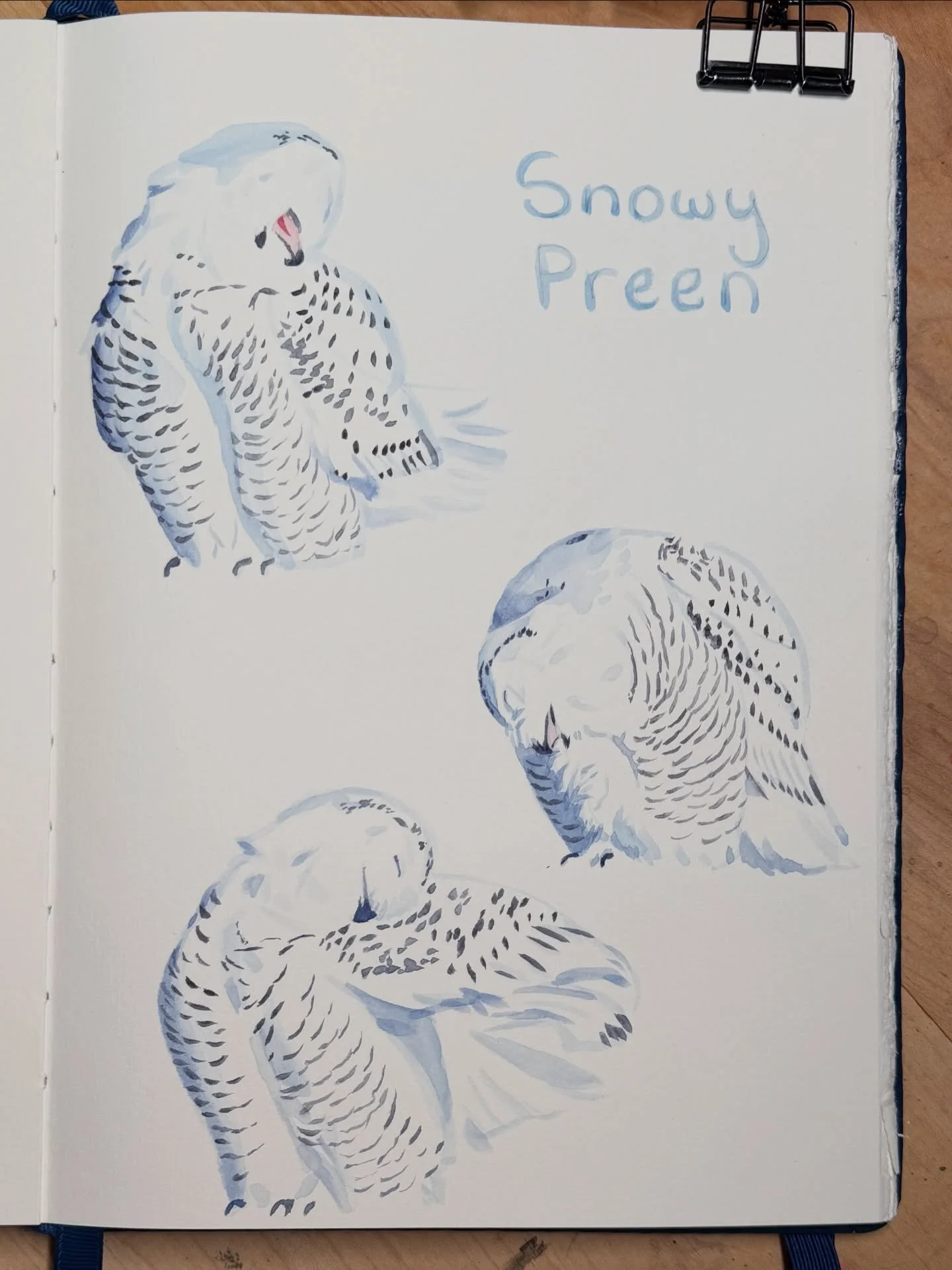 The Snowy Owls at Montrose have been absolutely enchanting. While I was able to head out there this morning with my camera, let&rsquo;s just say the conditions for photography were less than ideal. Thankfully @thebirdherder and @kevinlinphotography h