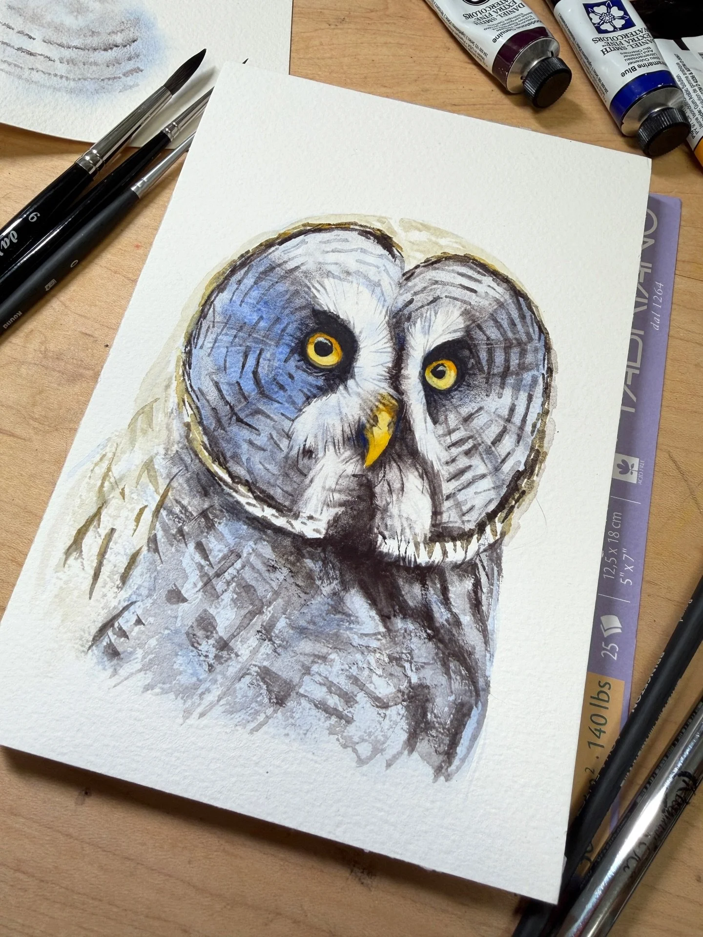 I&rsquo;m over halfway through my 30 day watercolor experiment and it&rsquo;s improved my mindset so much that over the weekend I was able to actually start and complete a painting! 

Great Gray Owl, watercolor on cold pressed paper