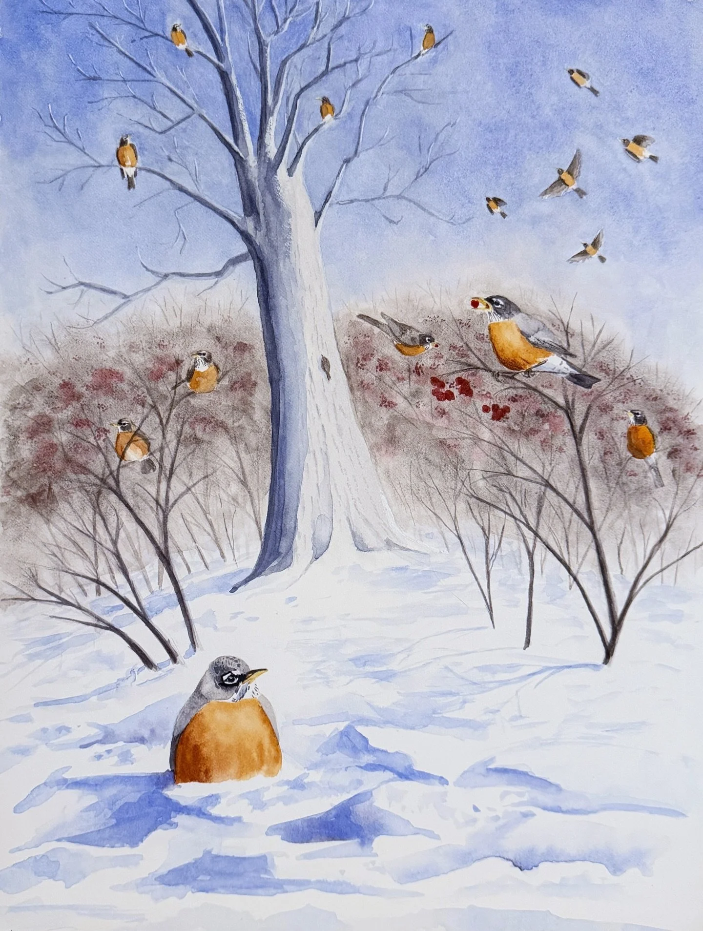 I made this illustration to commemorate this year&rsquo;s Christmas Bird Count, aka, the Day of All the Robins. 

Despite the thermostat barely nudging above O degrees Fahrenheit, there were plenty of birds and they were BUSY. 

To read about the day