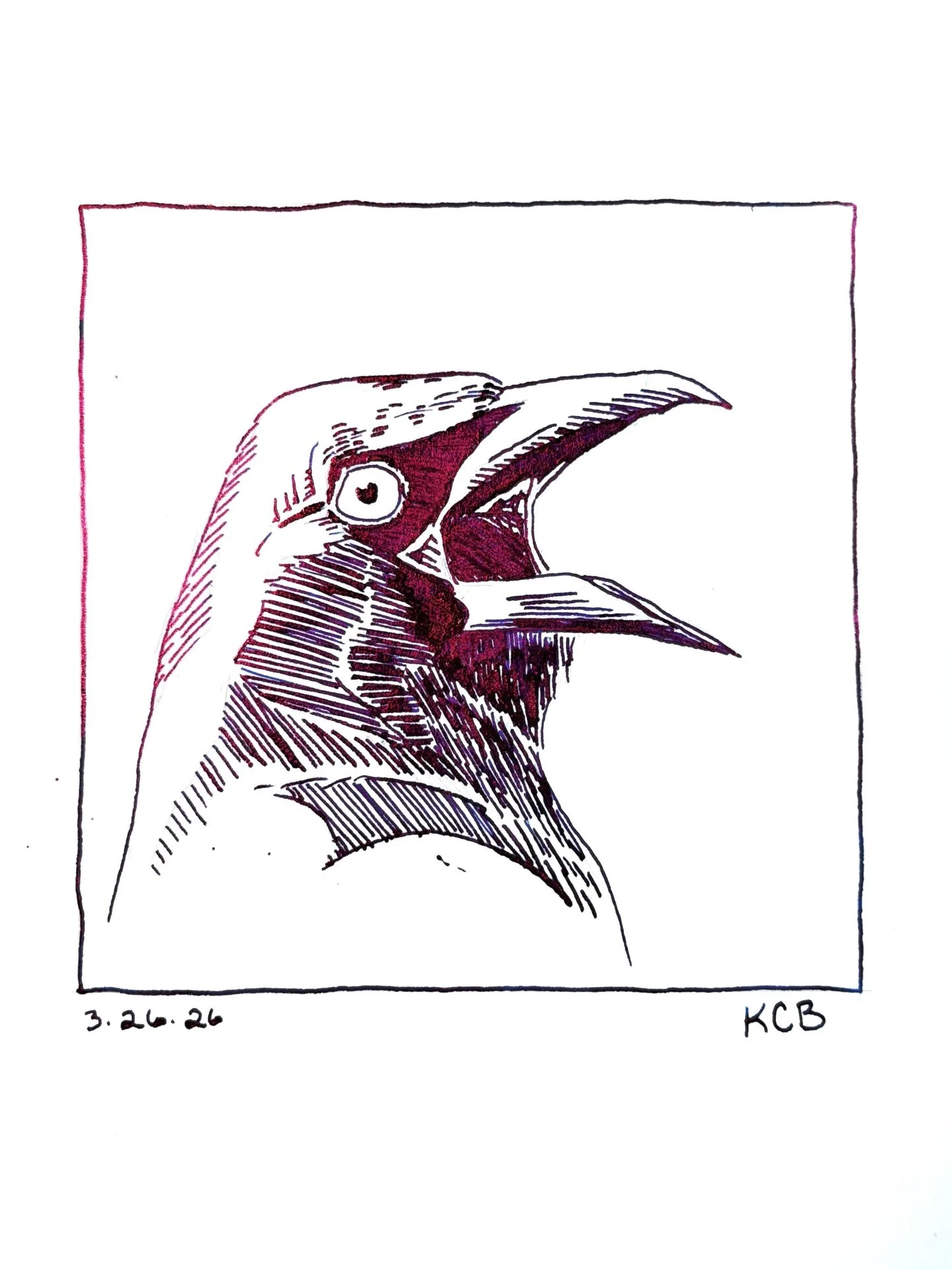 You can count on Common Grackles to bring the emo vibes during #emobirdweek and all year long 🖤

Drawn with @organicsstudio Nitrogen Ink and @tomsstudio glass dip pen, possibly two of my most beautiful art supplies 🖊️