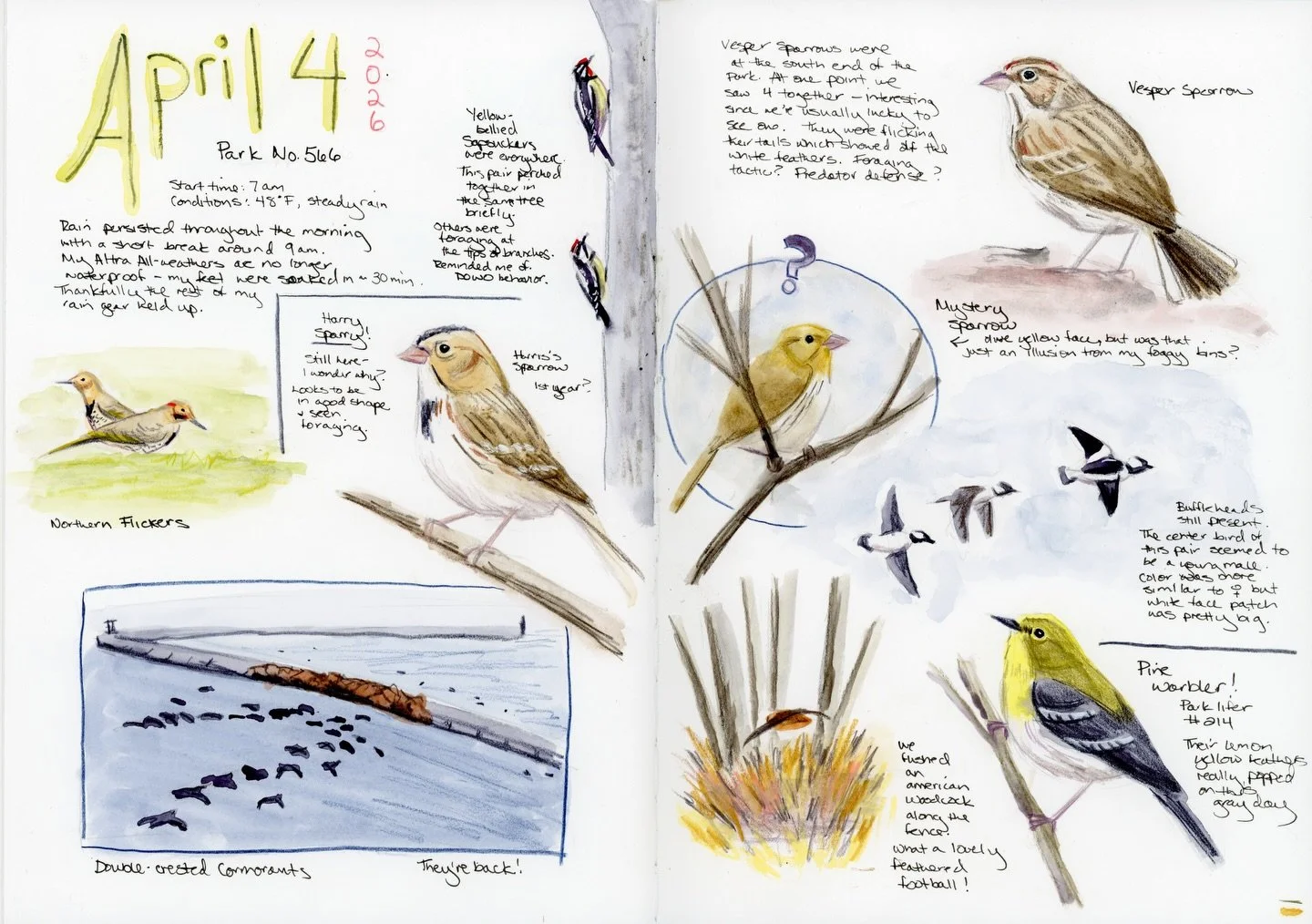 Here&rsquo;s my nature journal spread from a recent visit to one of my favorite Chicago Parks, Park 566! There were so many wonderful birds and it didn&rsquo;t matter that it rained the whole morning and my boots were thoroughly soaked 💦

In 2024, I