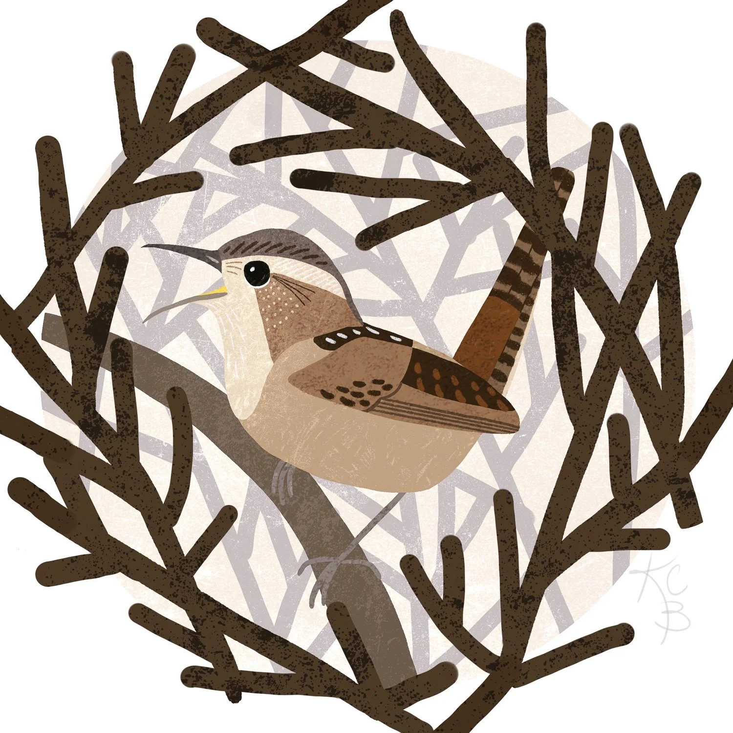 11: Marsh Wren