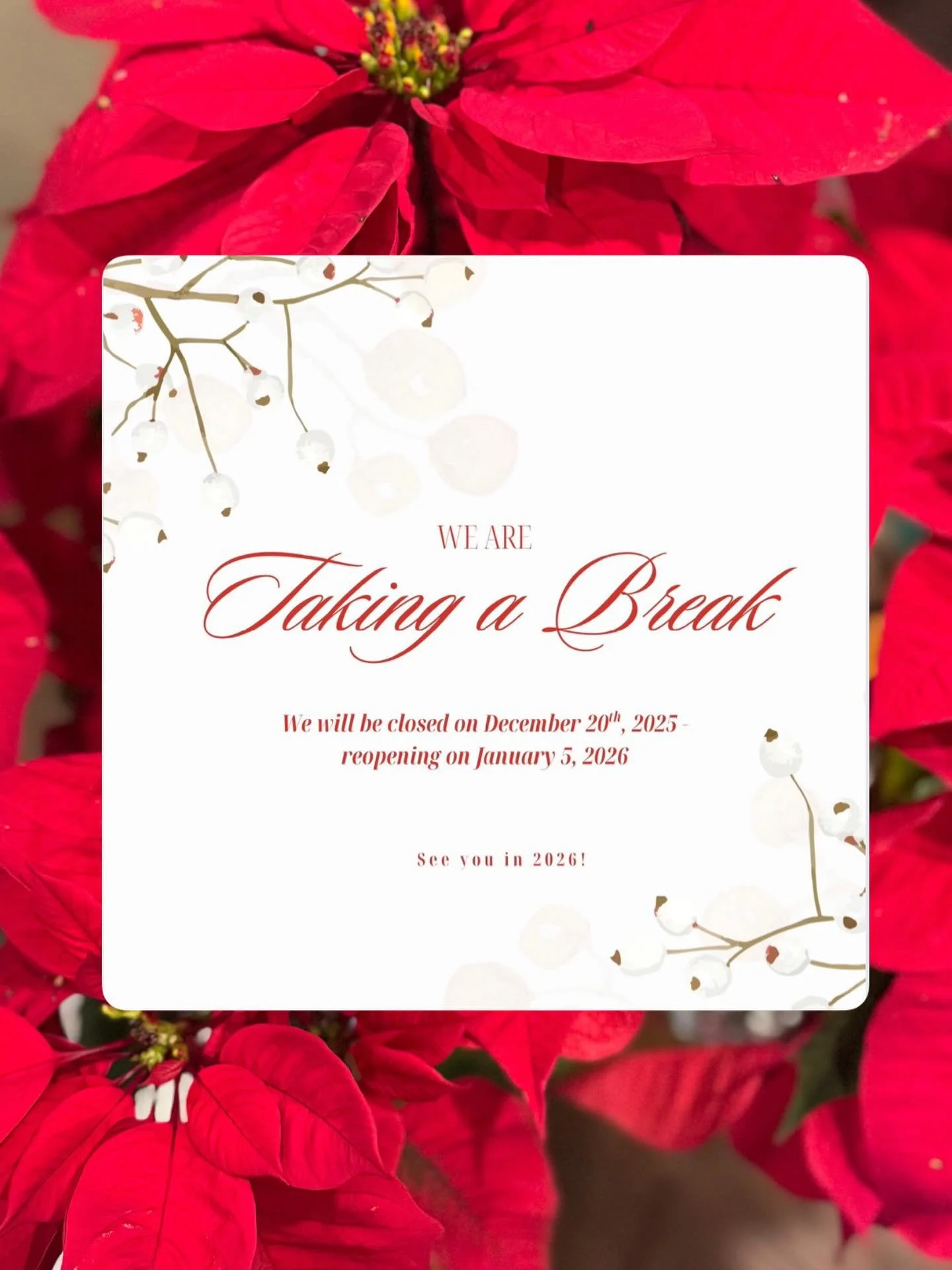 Wishing you a very Merry Christmas and a blessed holiday season! May your days be filled with love, peace, and the beauty of His light. From all of us at Stacy Moore Designs, we are so grateful for your support and look forward to creating more beaut