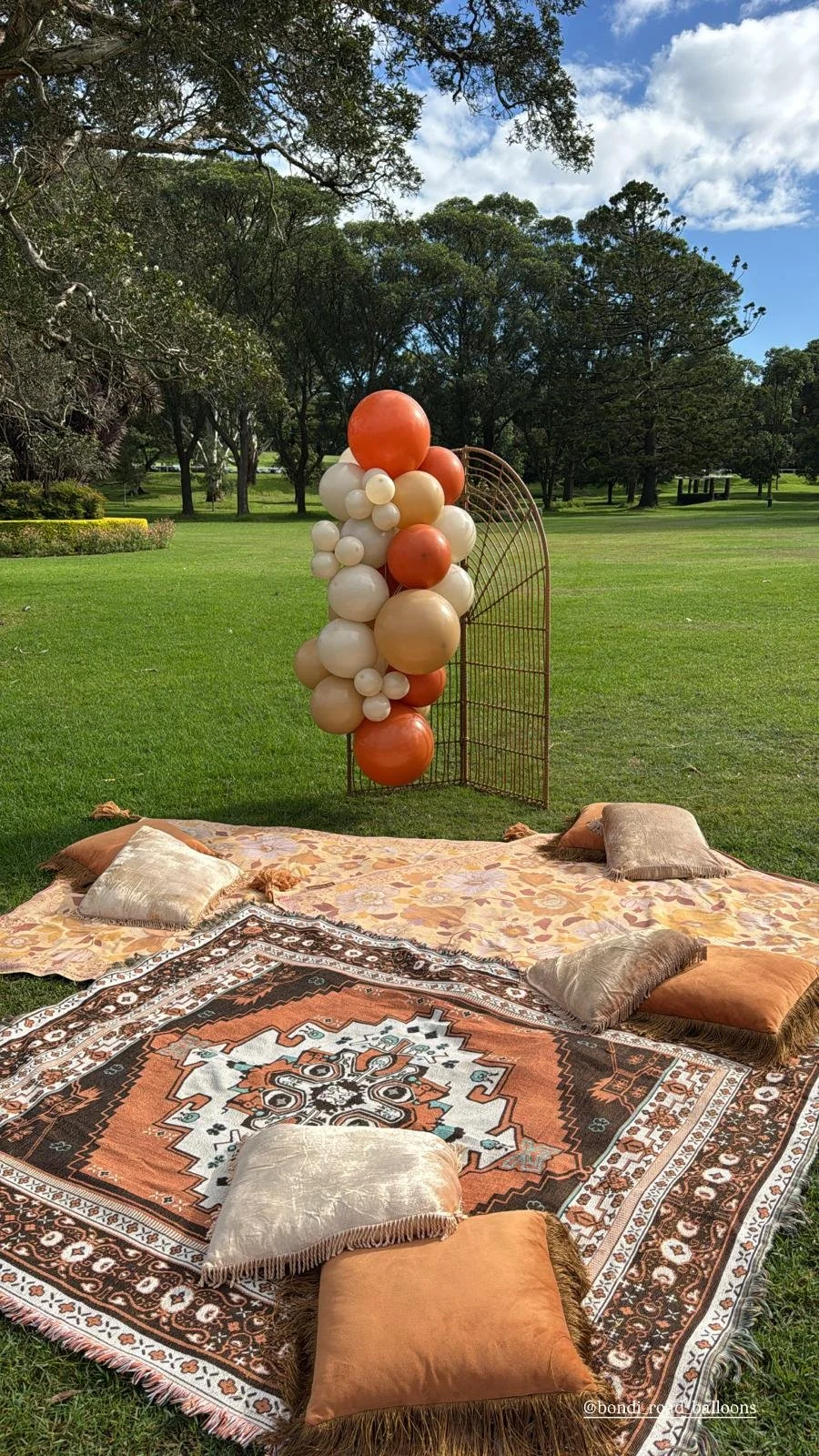 brown theme balloons park party.jpeg
