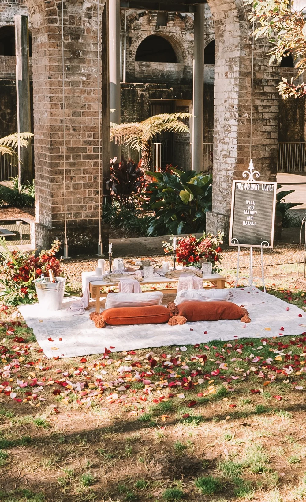 Luxury proposal picnic