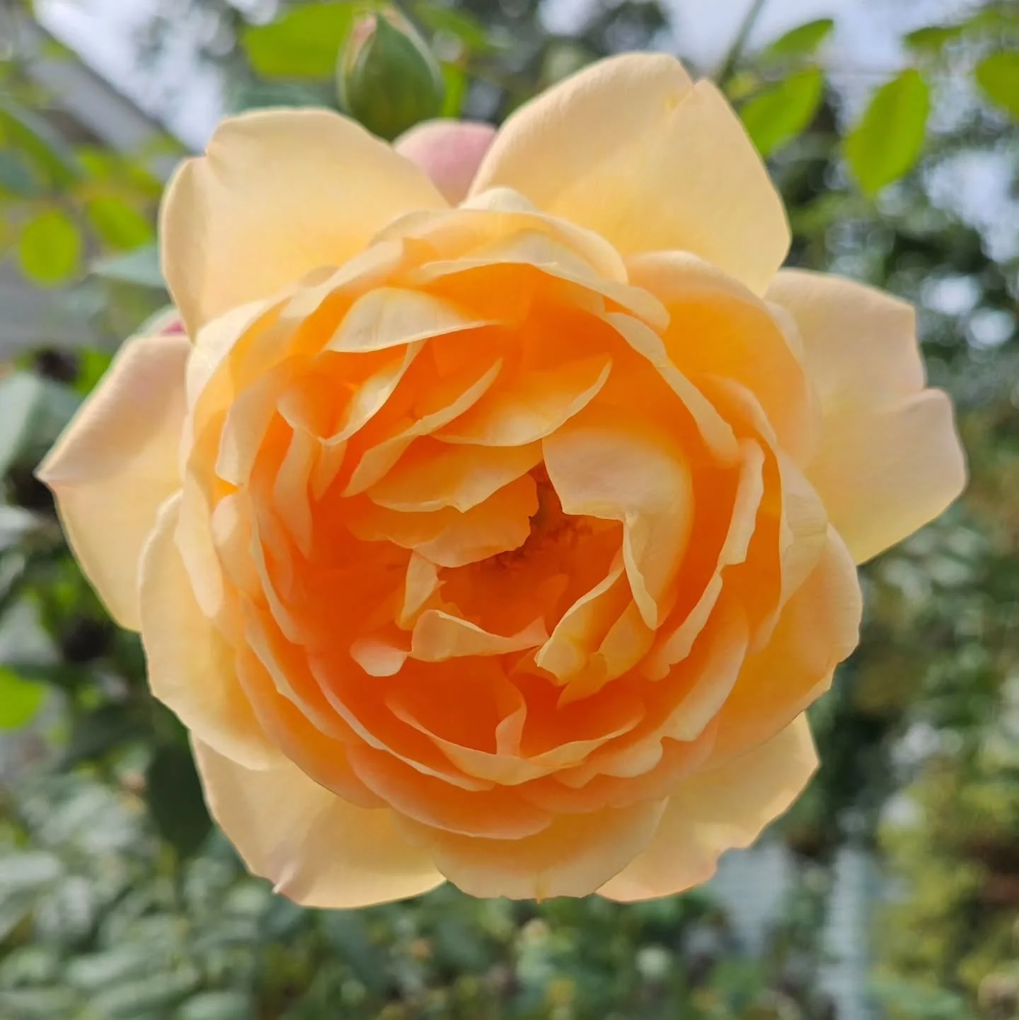 Autumn is here!

Hope you are taking care and getting the rest you need as we move from one season to the next. ✨