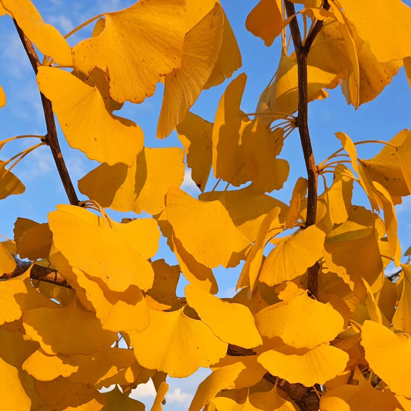 When I moved to North Carolina I was a mess. I was going through too much. Every aspect of my life felt heavy as I navigated the chaos of breakups, death, crises, and illness. I was so sad. Crying-all-the time sad. Just deeply, deeply sad.

In a flas