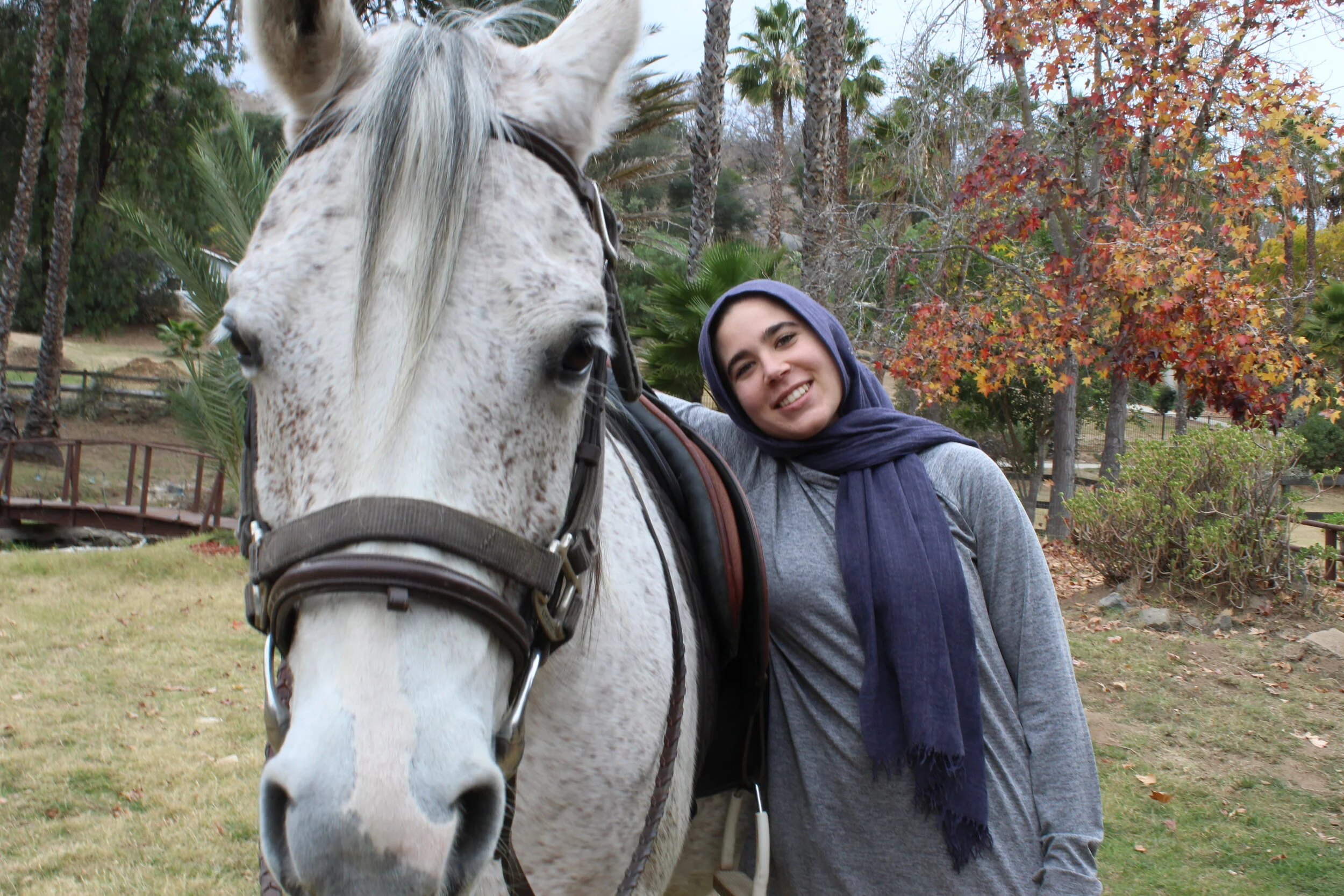 Sara Kouzi- MFT/Youth Mentor