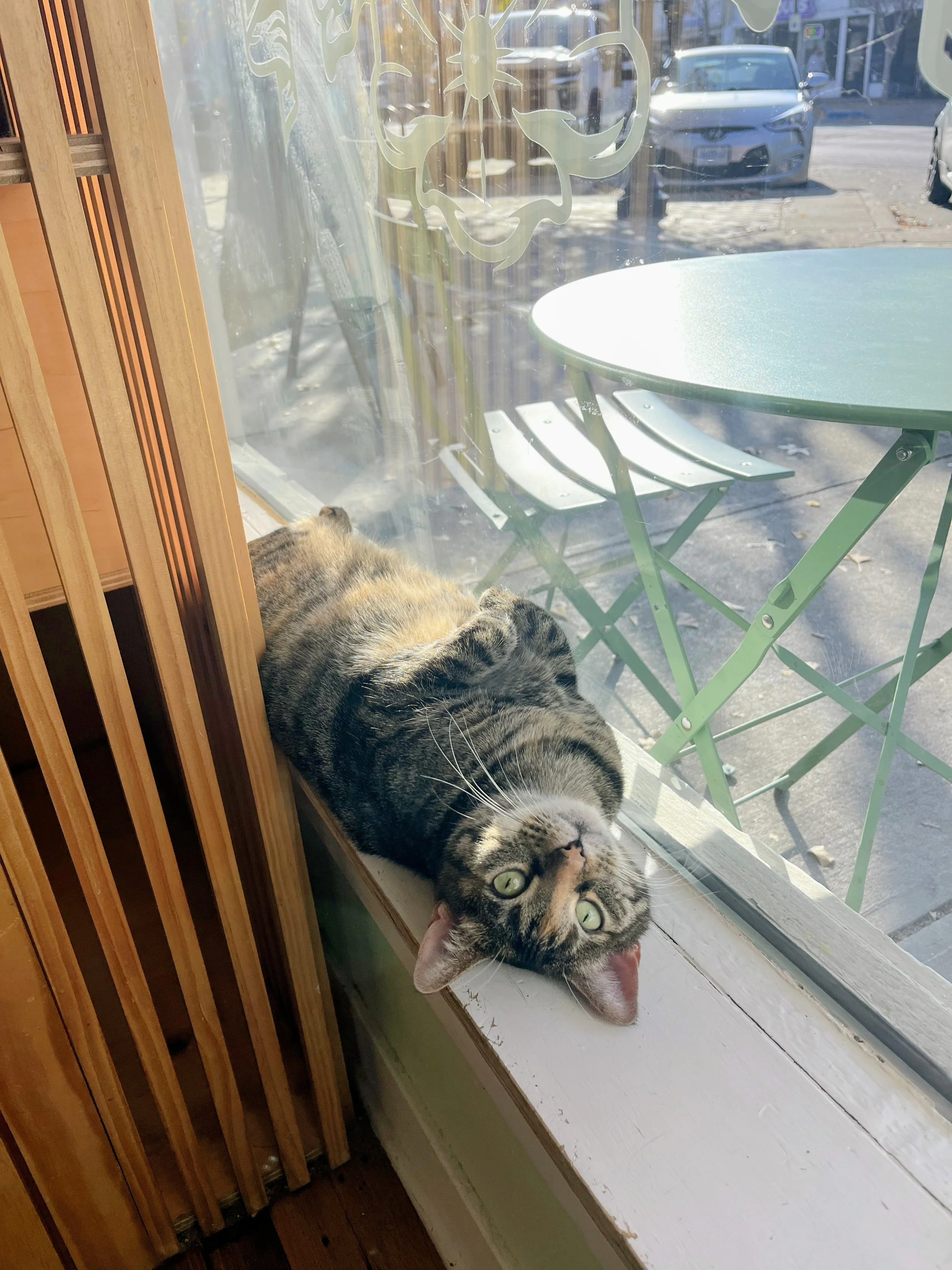 IMG_2511.HEIC~2 copy.jpg