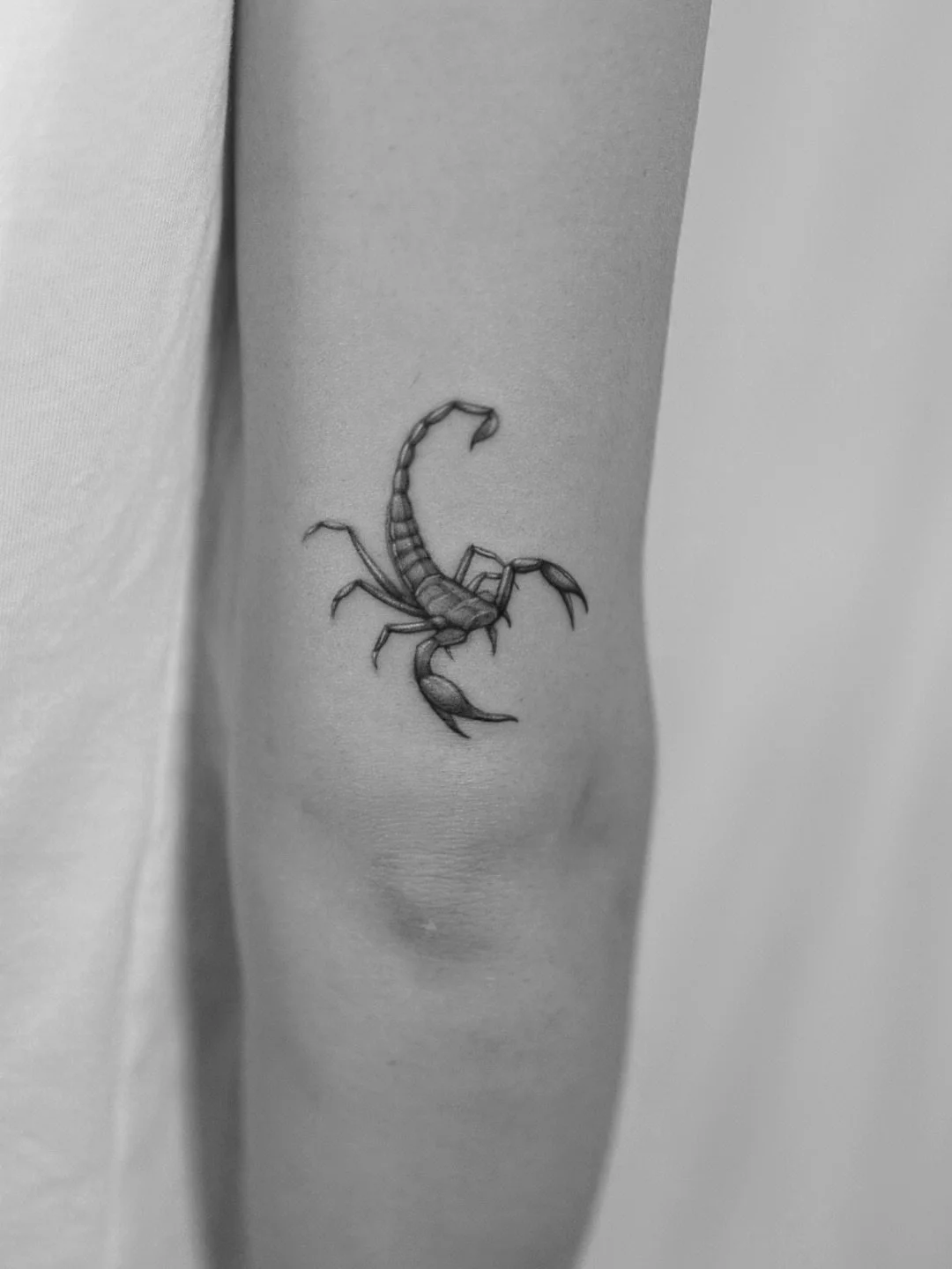 Mini Scorpion for Ashley 🦂
#seattletattooartist #seattletattoos #inked #tattooartists #scorpiontattoo #tinytattoo