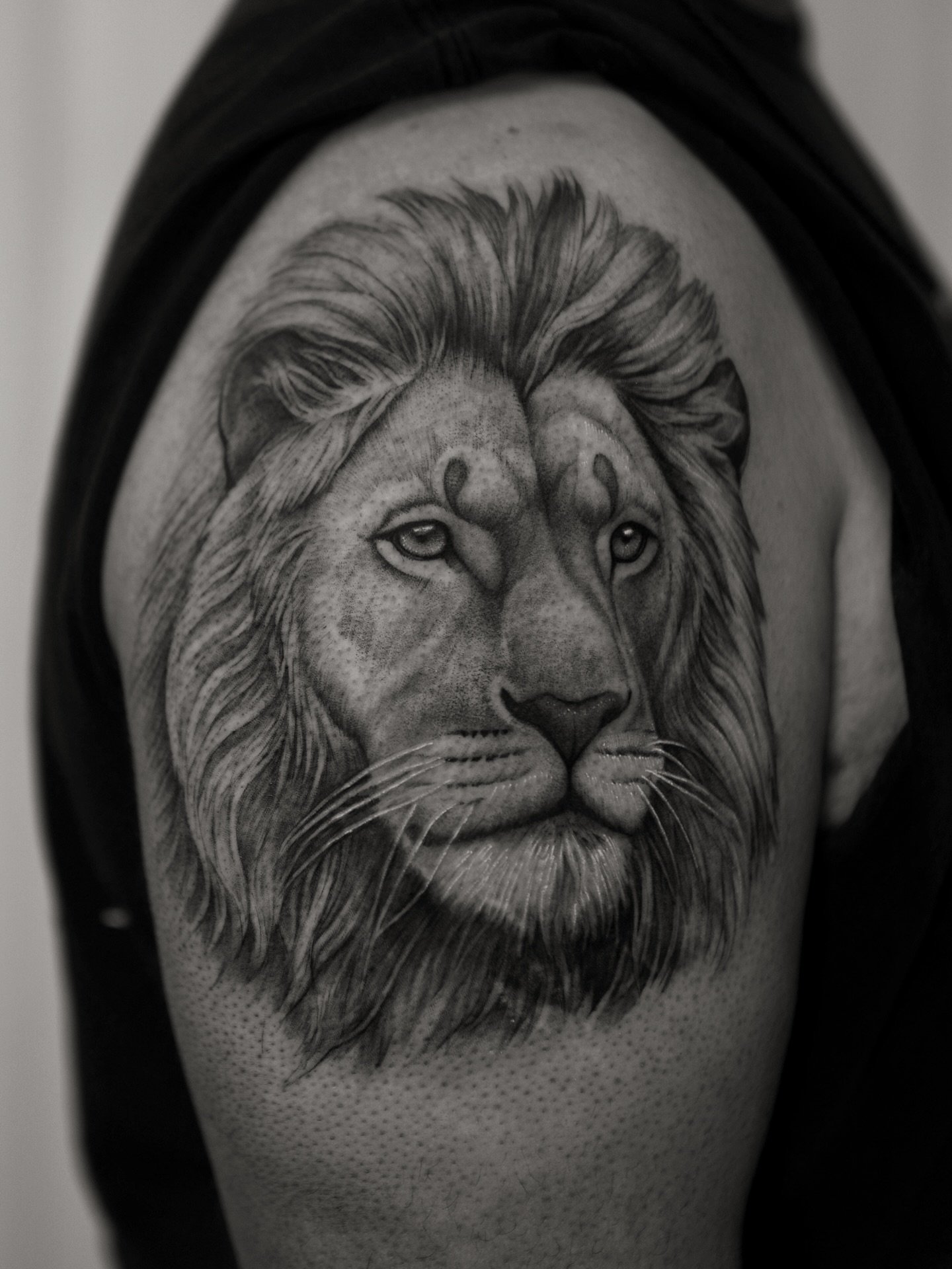 Know Thyself . 

Lion portrait for Chef Elijah. A tribute to his father&rsquo;s words and reflection of himself. 

It is a special thing to design and tattoo personal stories for my clients. I met Chef when I was 22 before all the tattooing and he ha