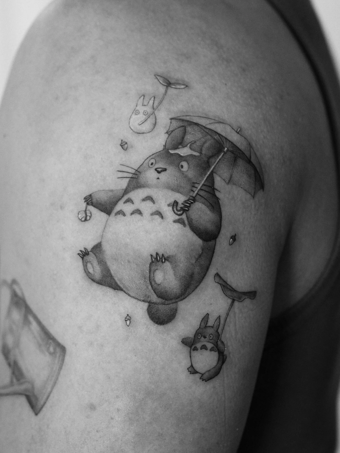 My Neighbor Totoro 🌰

Newest addition to Hector&rsquo;s patchwork collection. 
Easily one of my favorite characters from the great mind of Hayao Miyazaki. 

#seattletattooartist #ghiblitattoo #totorotattoo