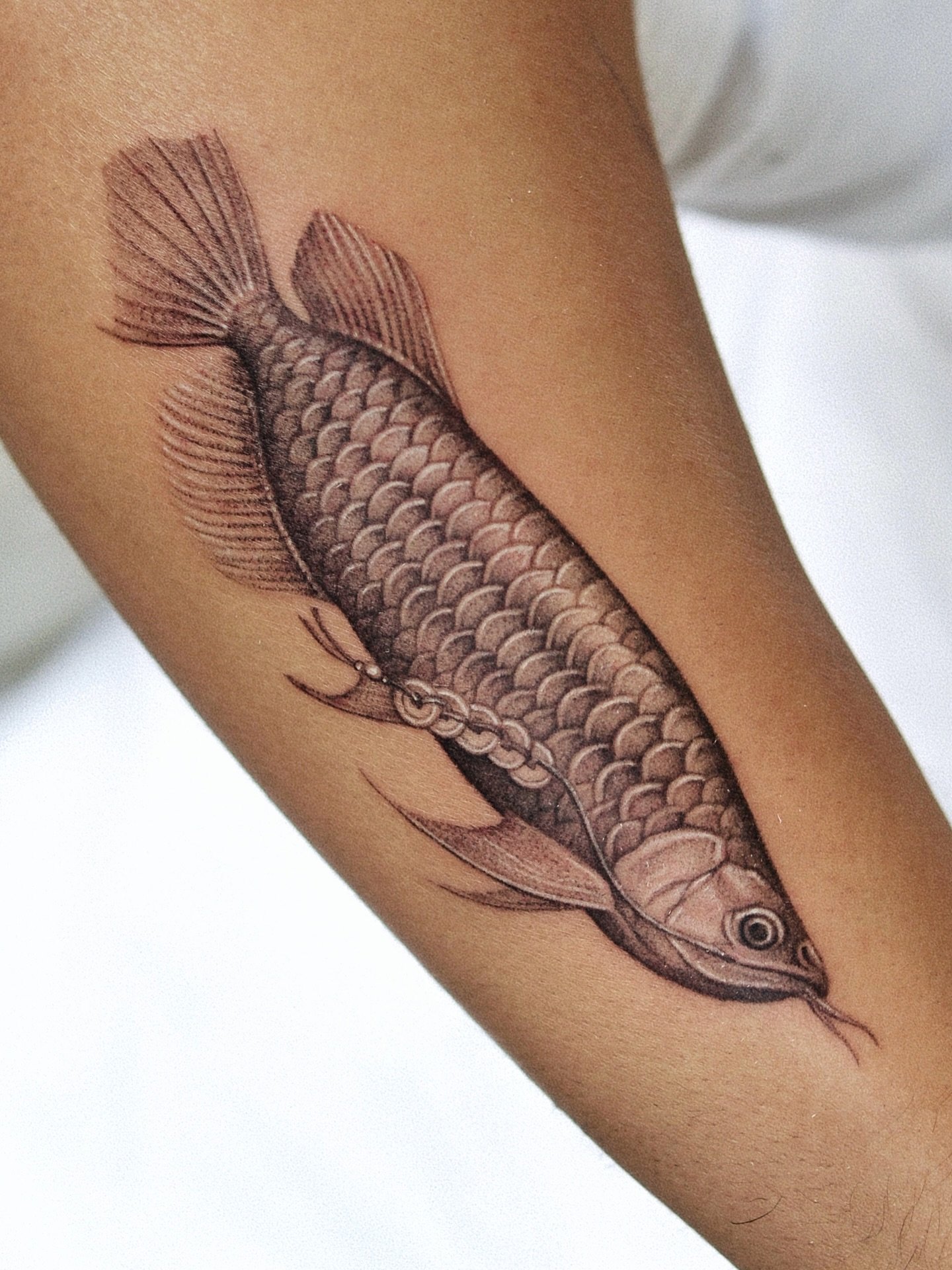 AROWANA 

Had the extreme pleasure of tattooing this piece for Kenley. Tying his Vietnamese roots and love for fishing, and owning an Arowana was the extra fun part. 

Known as the dragon fish in many Asian cultures, the species has so many unique fe