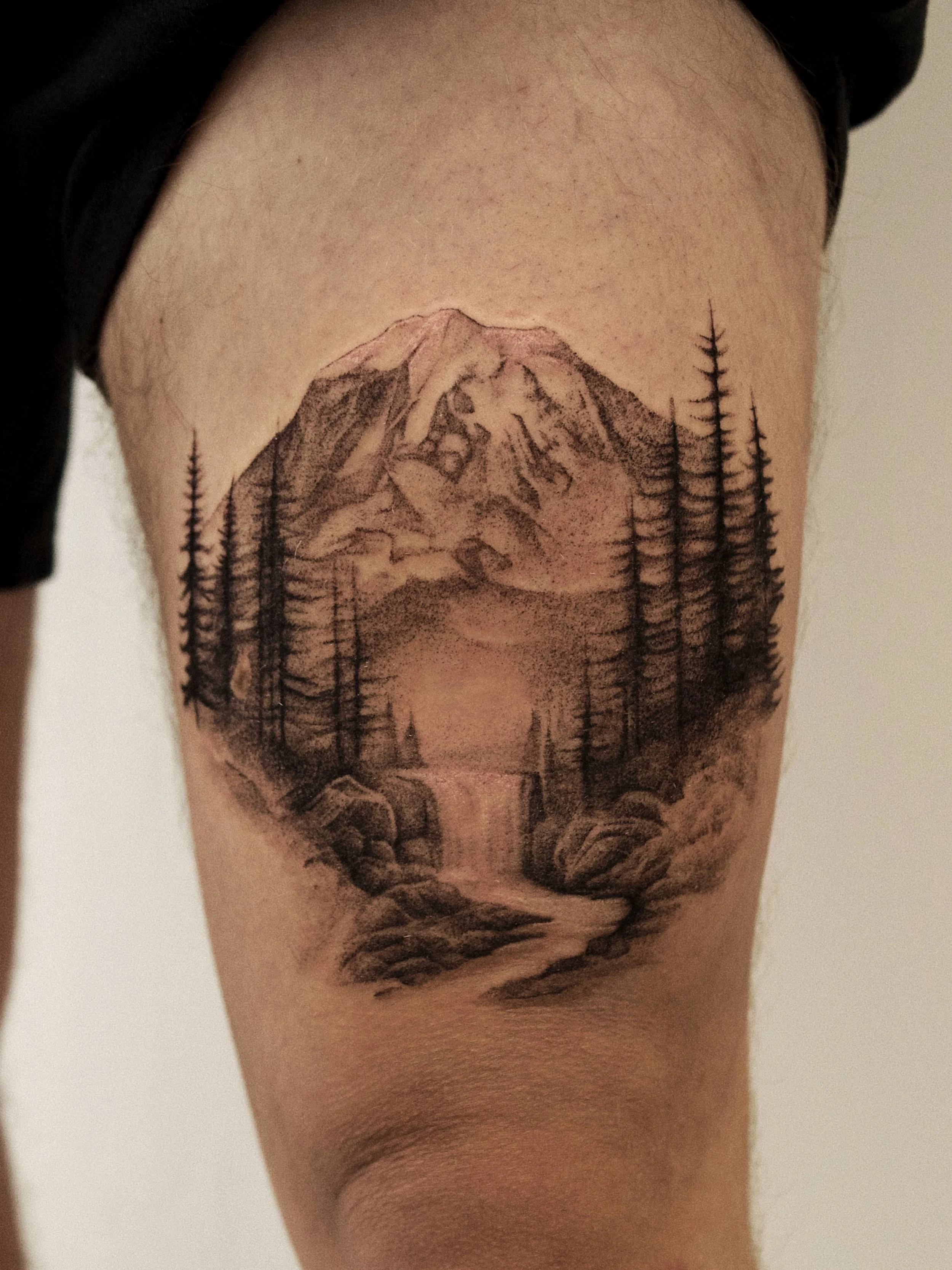 Mt. Rainier with a little forest scene

Big thanks to Darrien for the trust in this project. Had a ton of fun bringing this idea to life.

Interested in a Nature sleeve ? 

BOOKING LINK IN BIO 

#seattletattooartist #seattletattoo #mtrainier #mountai