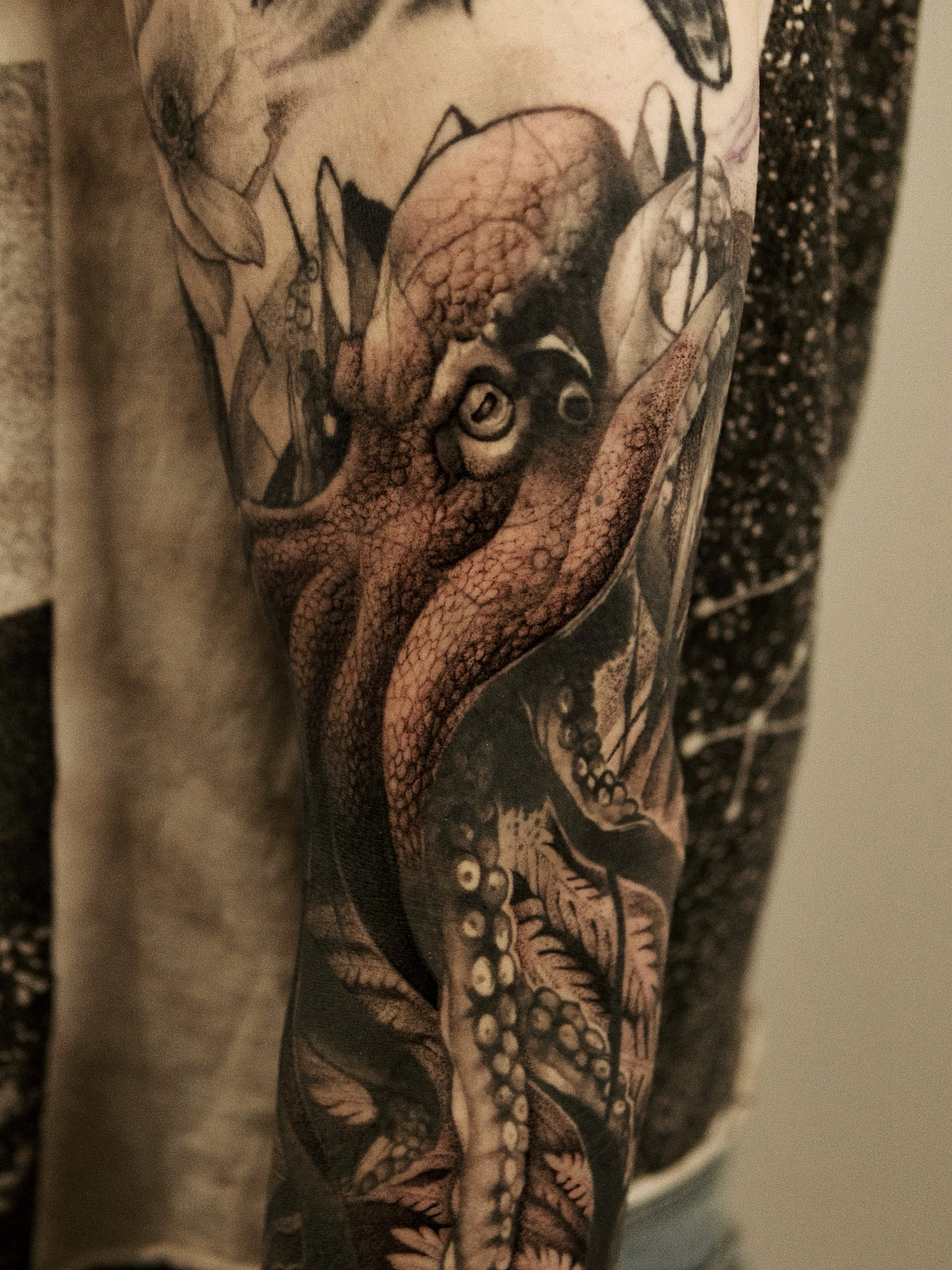 Octopus 🐙 

While the original tattoo was not done by me, Doctor J and I had the discussion of adding realistic details along with ferns on the forearm for this piece. 

Lots of movement and contrasting textures for this design. 

#octopustattoo #se